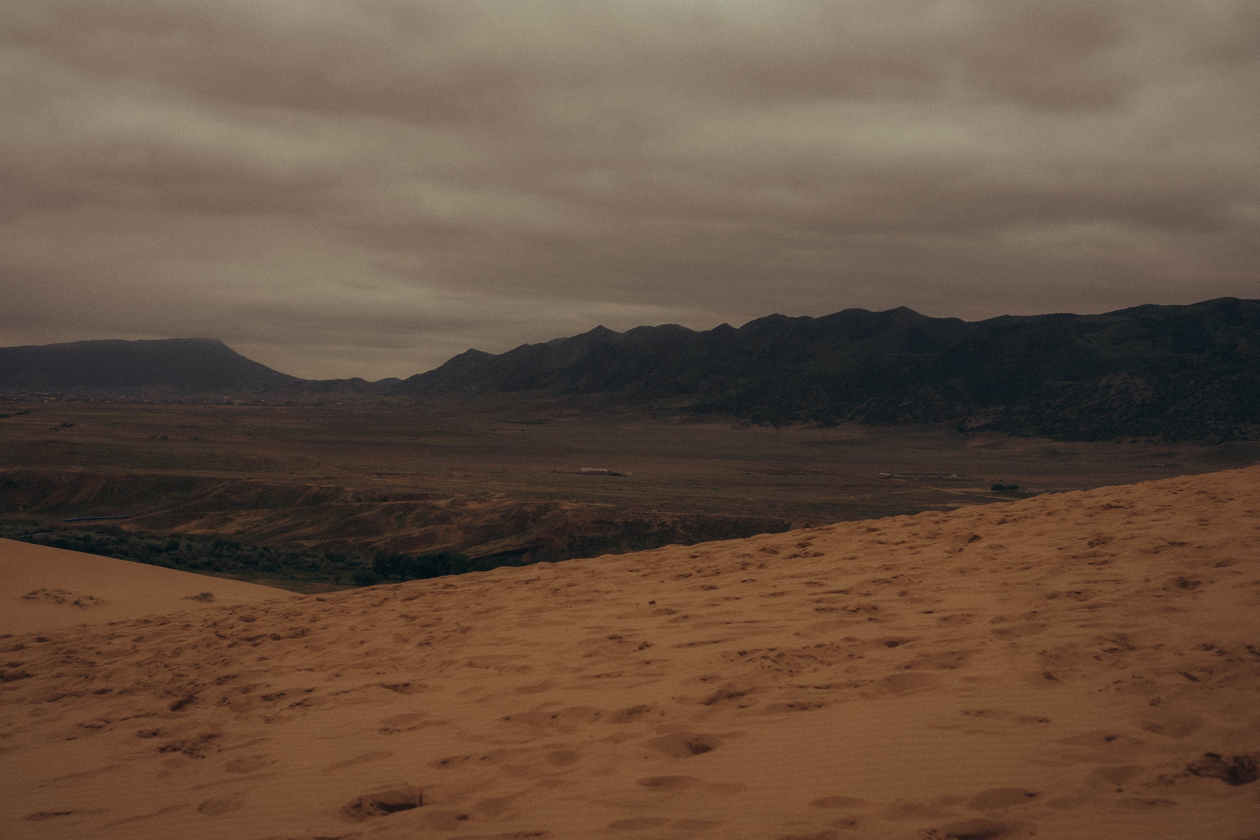 Барханы. Профессиональный фотограф, Санкт-Петербург — Виктория Богомолова