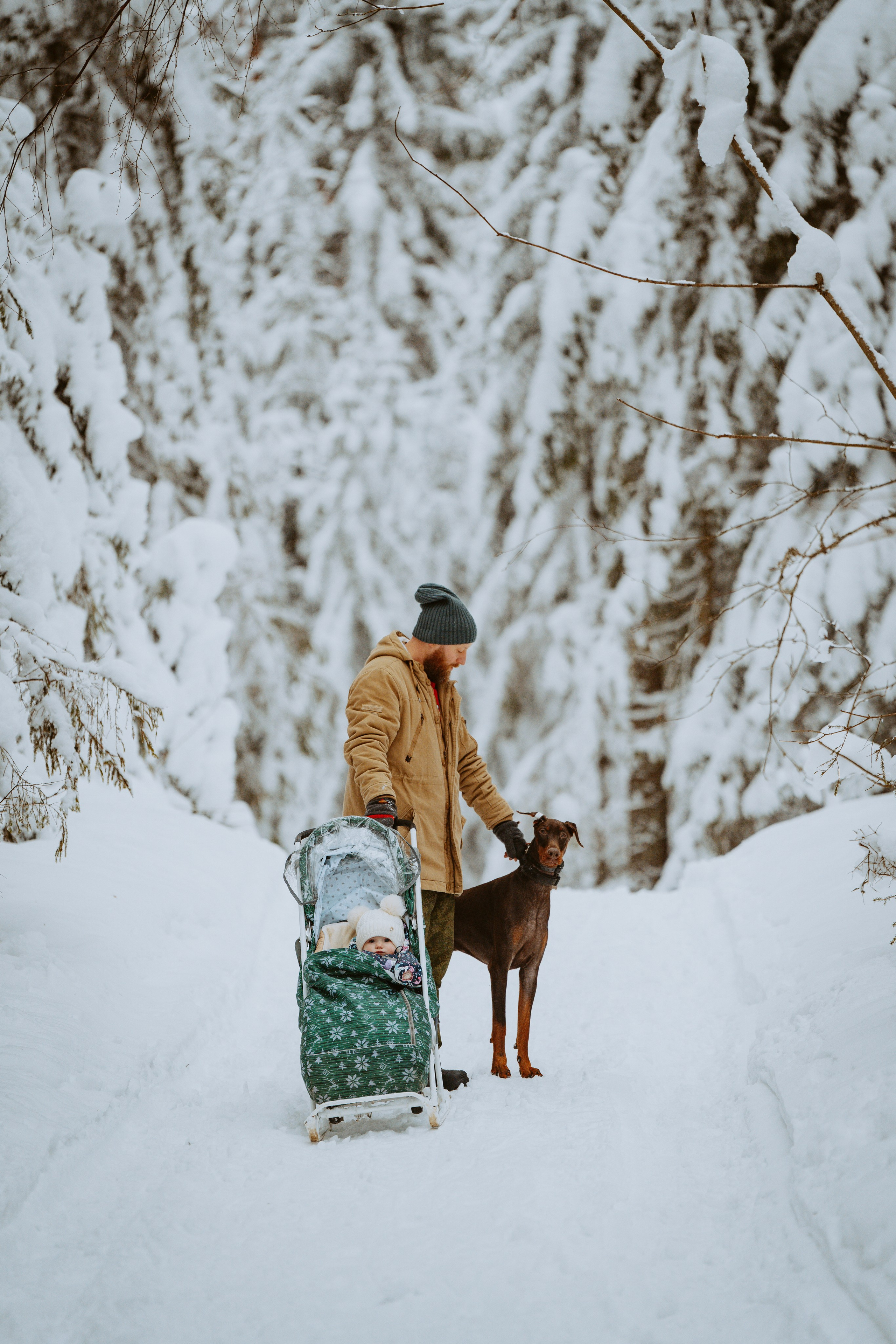 Дог трекинг. Фотограф анималист в Спб недорого Олеся Майорова