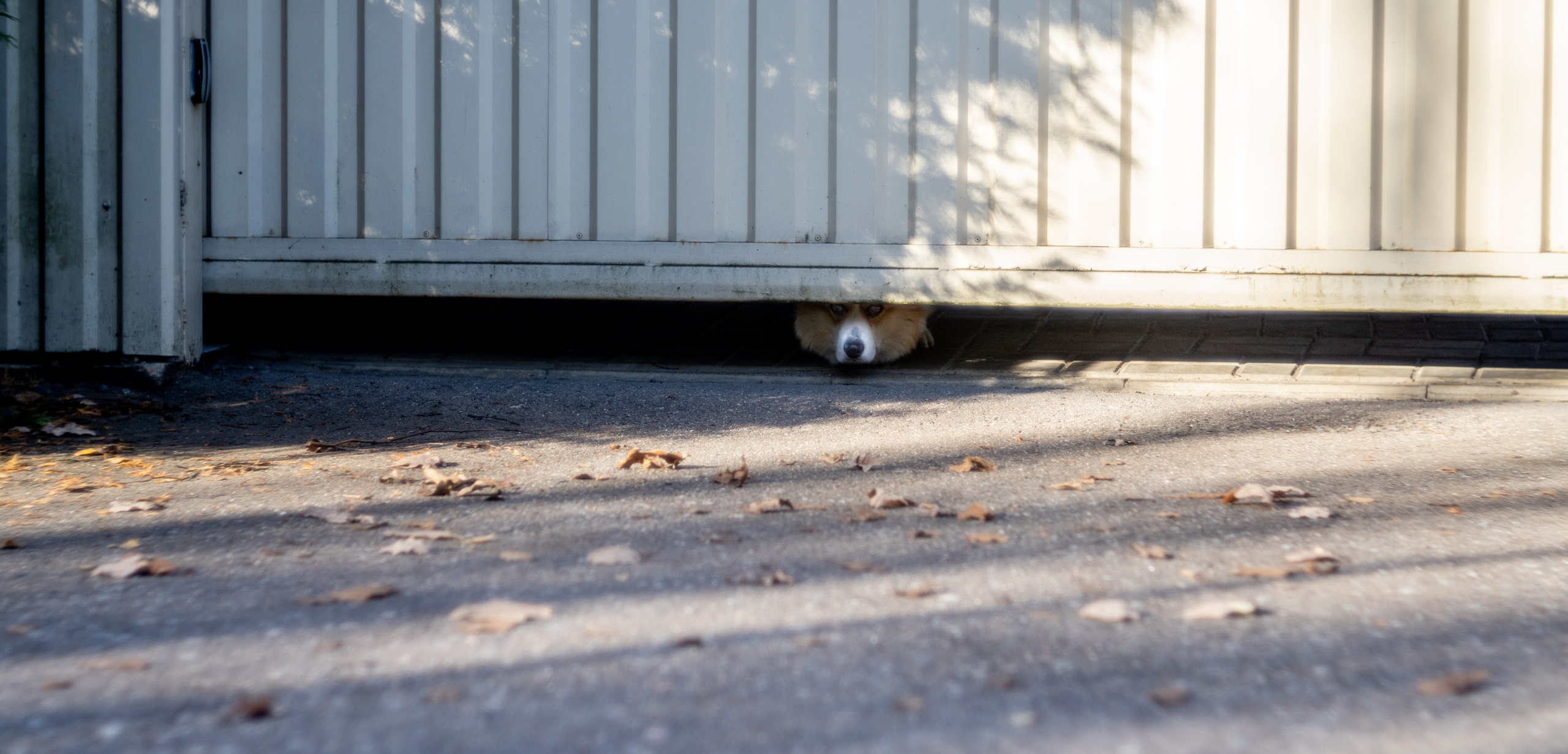 ПЕРЕДЕЛКИНО. ПОБУДЬ ЗДЕСЬ И ЦЕЛЕЕ БУДЕТ ЭТОТ МИР