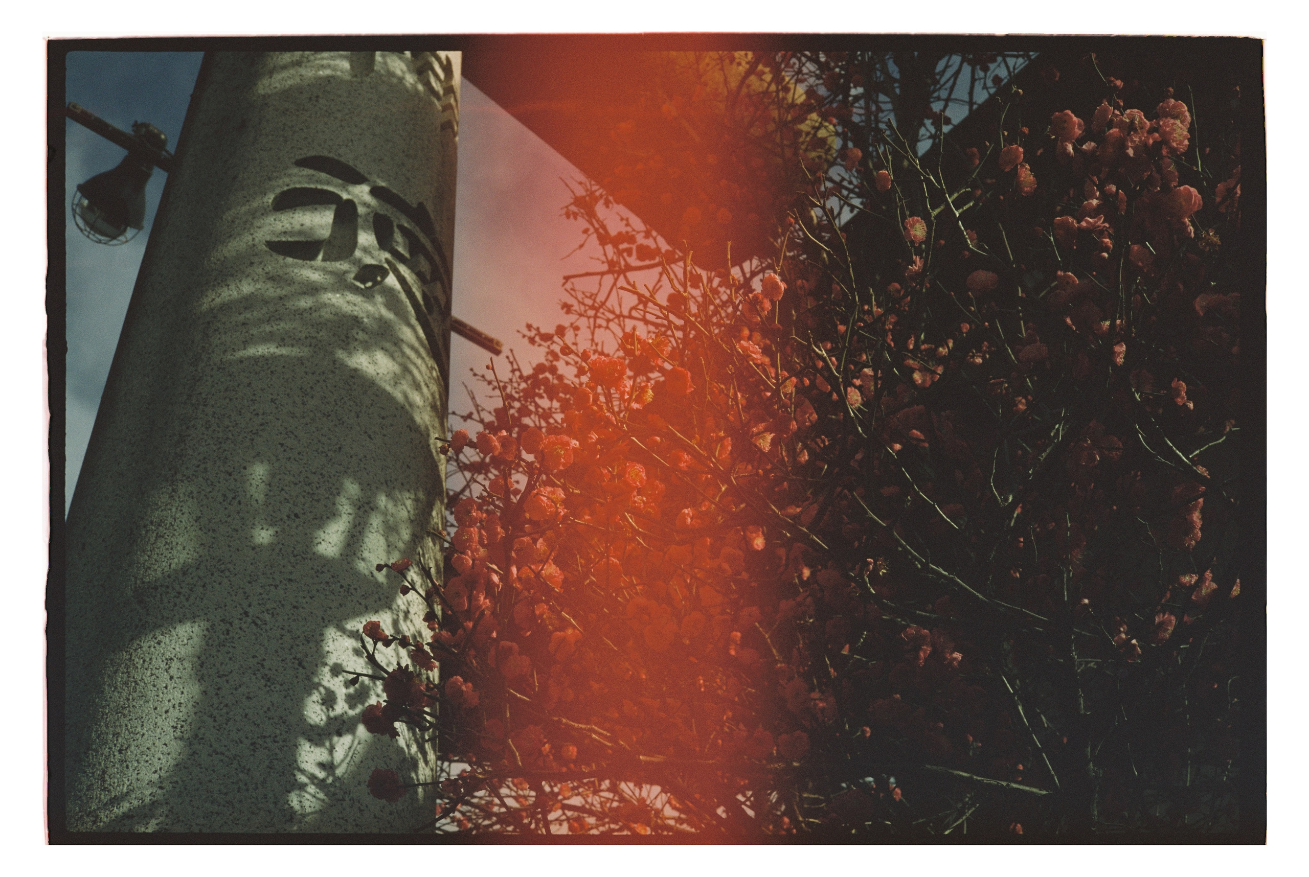 Japan. @tomrus: Рустам Шагиморданов — фотограф