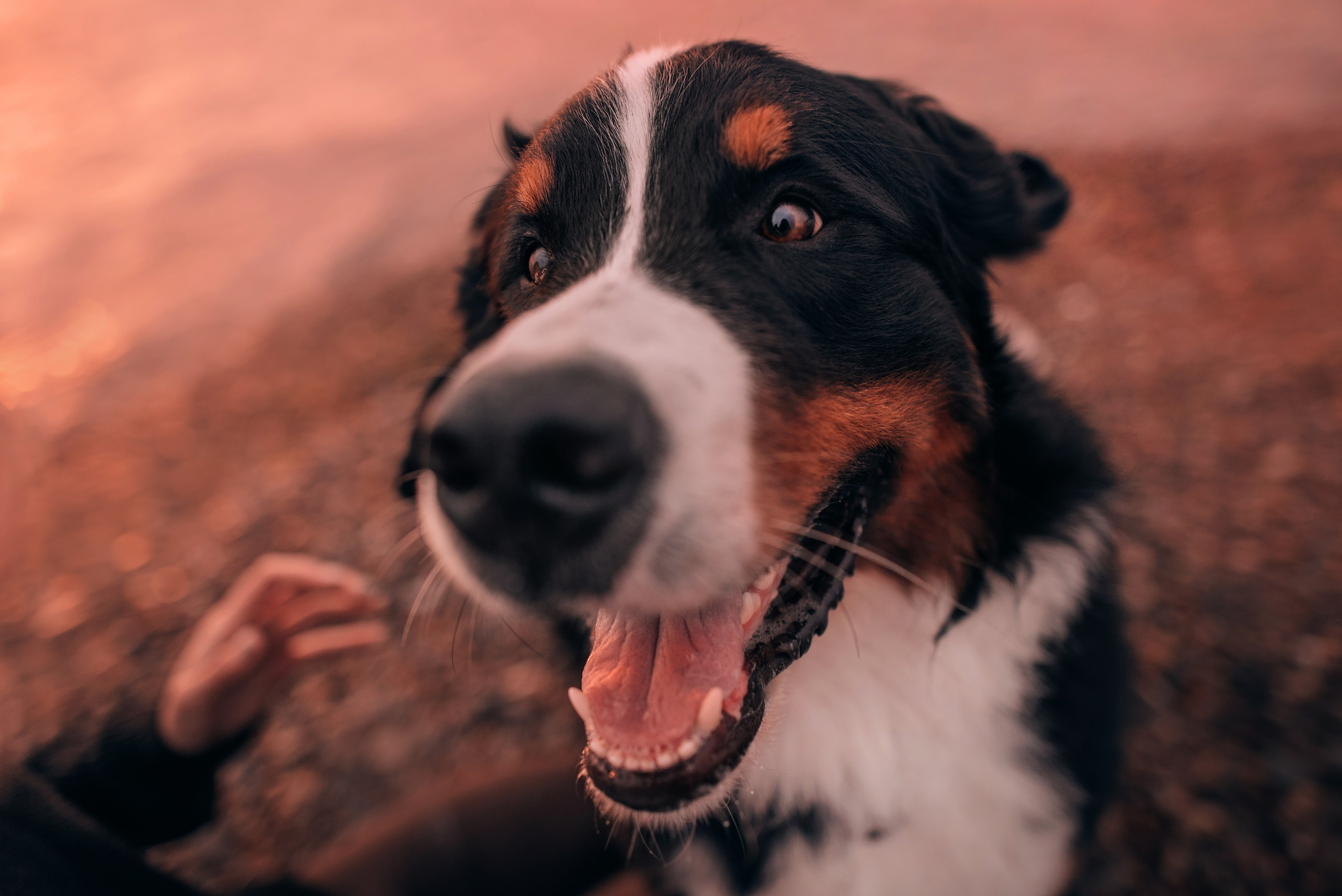 Владивосток: Марс и Маша. Портфолио