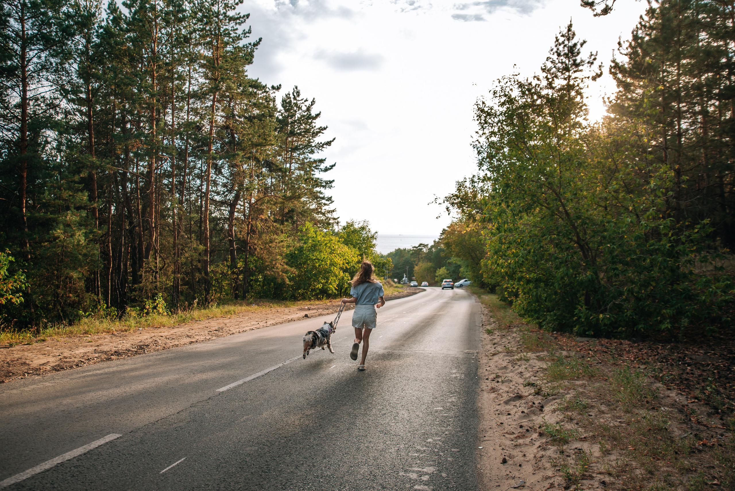 No Bad Days. Главная