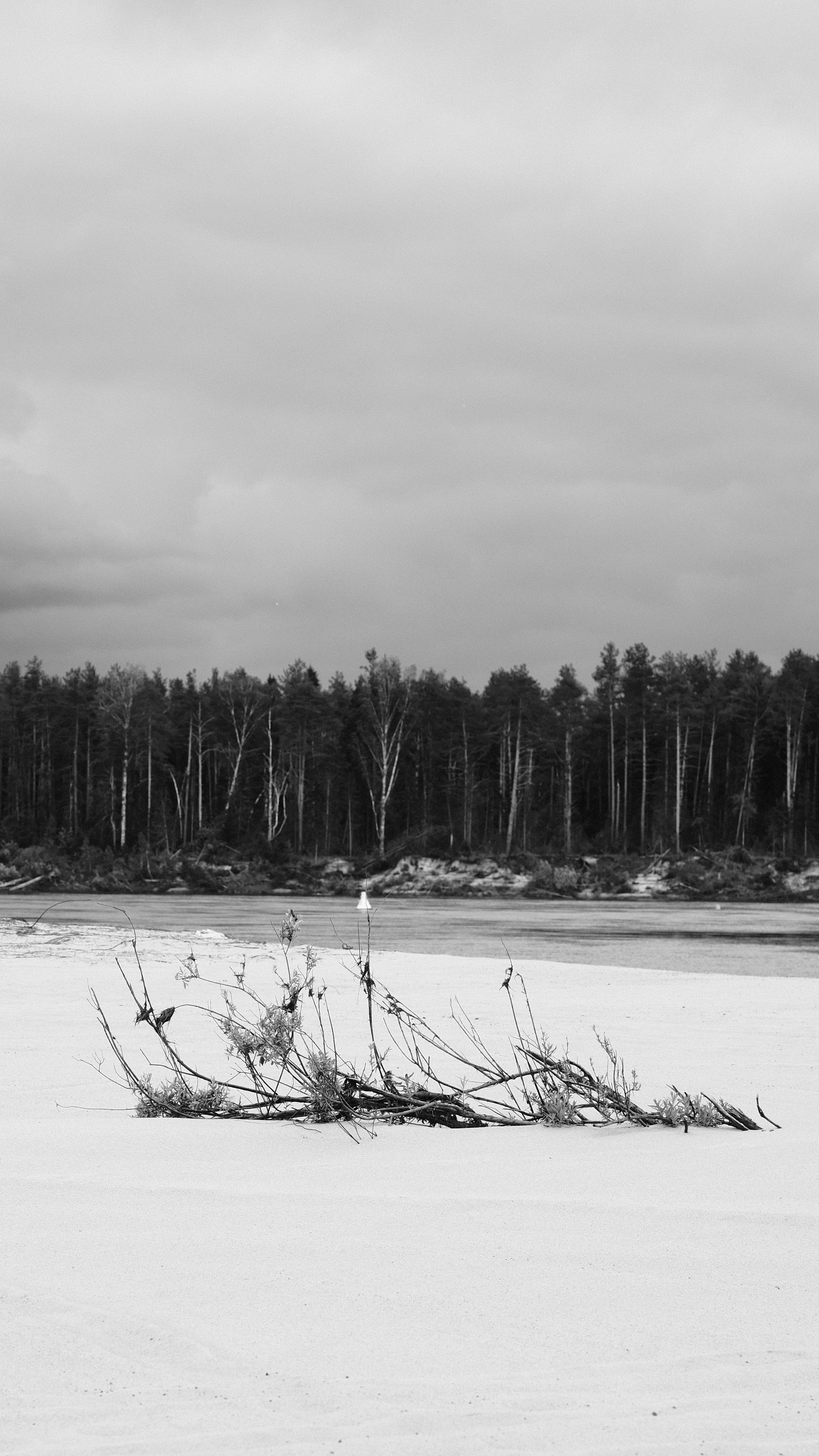 ЧБ. Фотограф-любитель из Кирова Андрей Погребняк