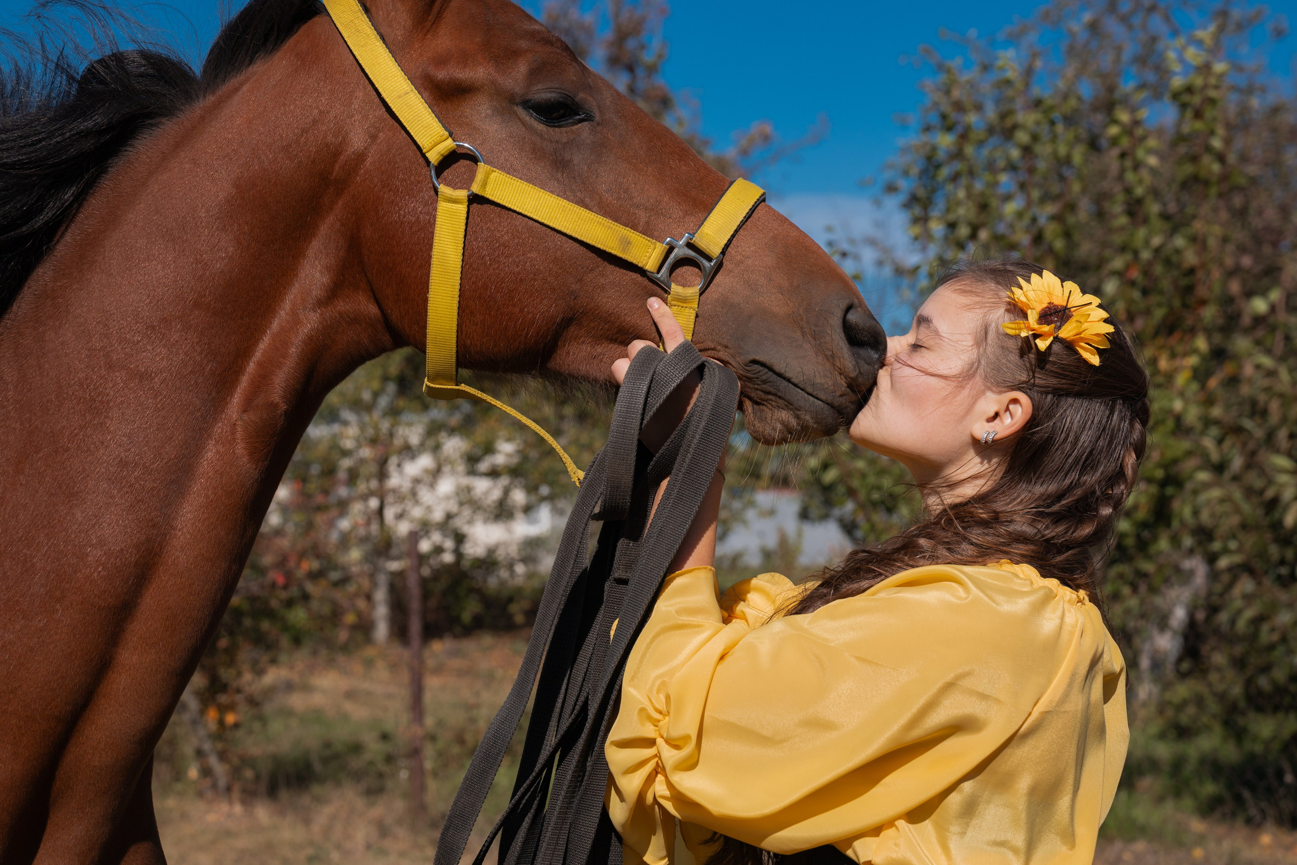Фотосессия с лошадьми