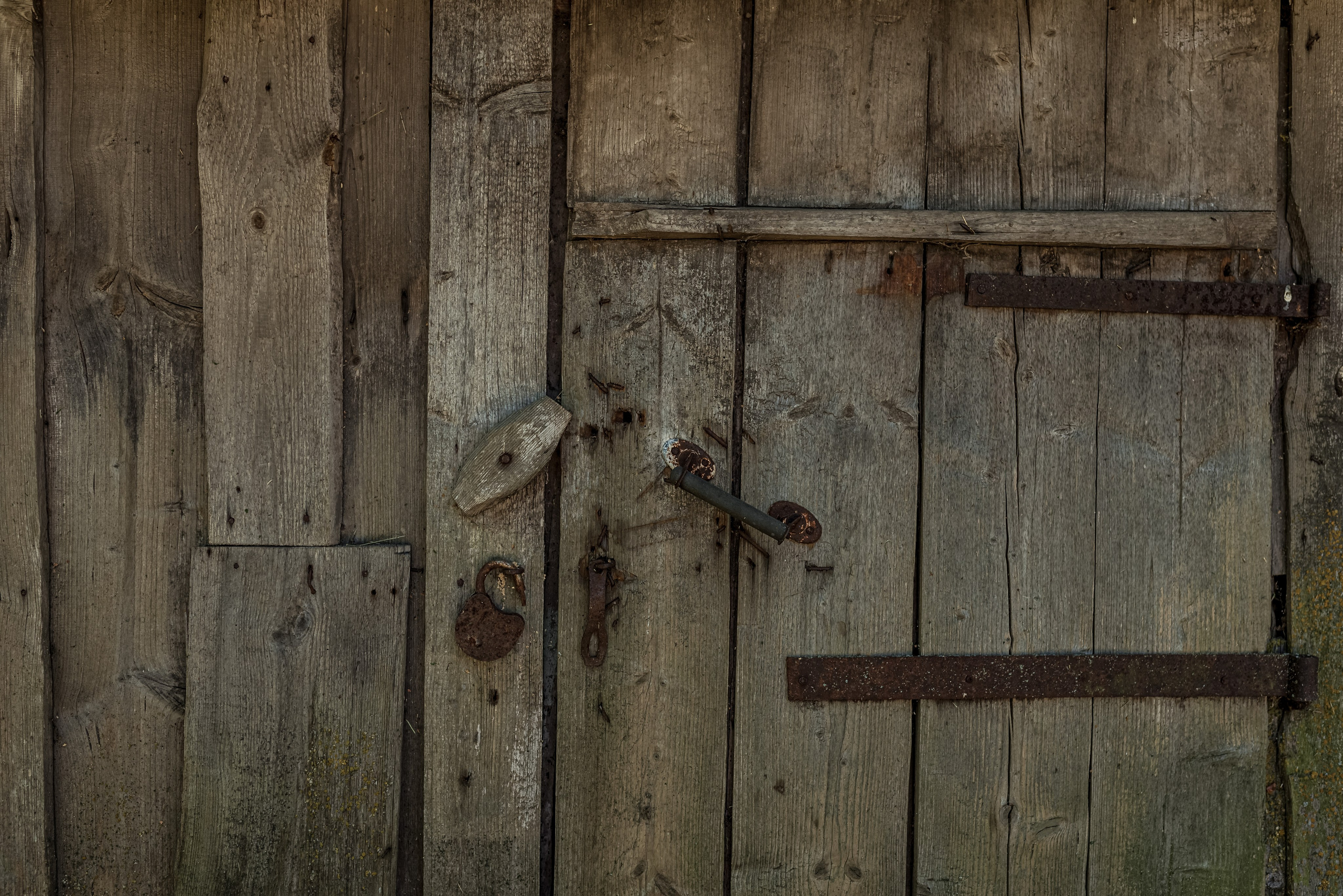 Деревня Барышье. Женский фотограф Крещение Венчание Москва Брянск