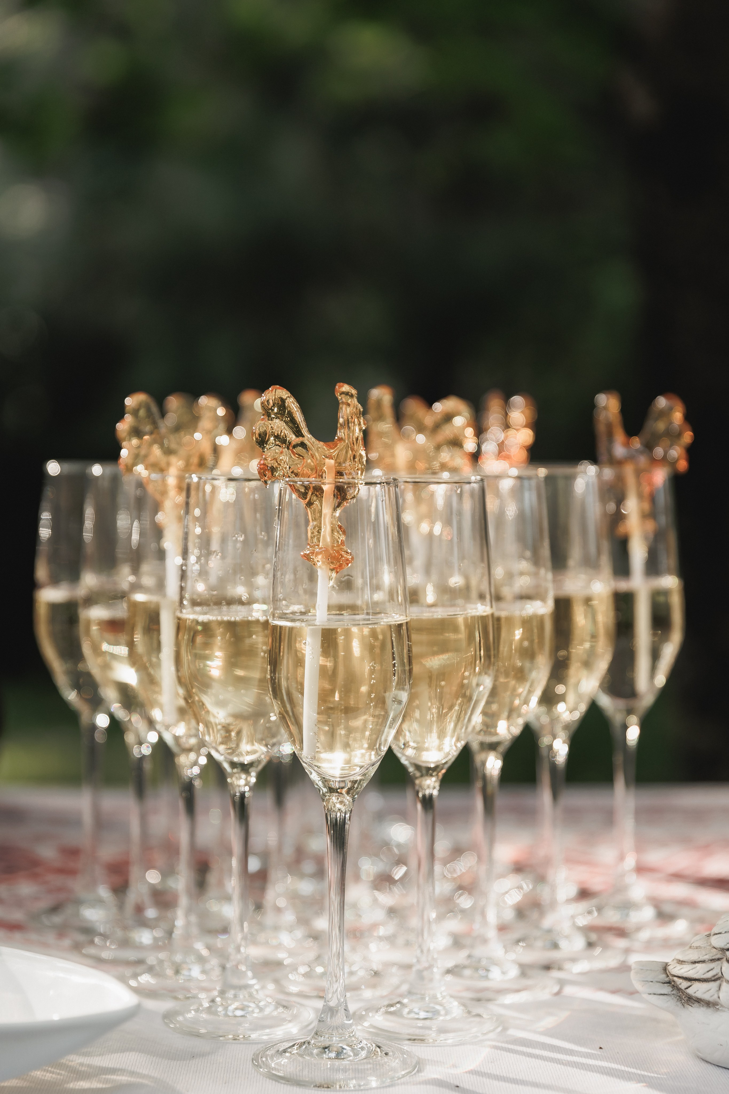 Александр и Анастасия. Фотограф в Волгограде — Александра Искандерова