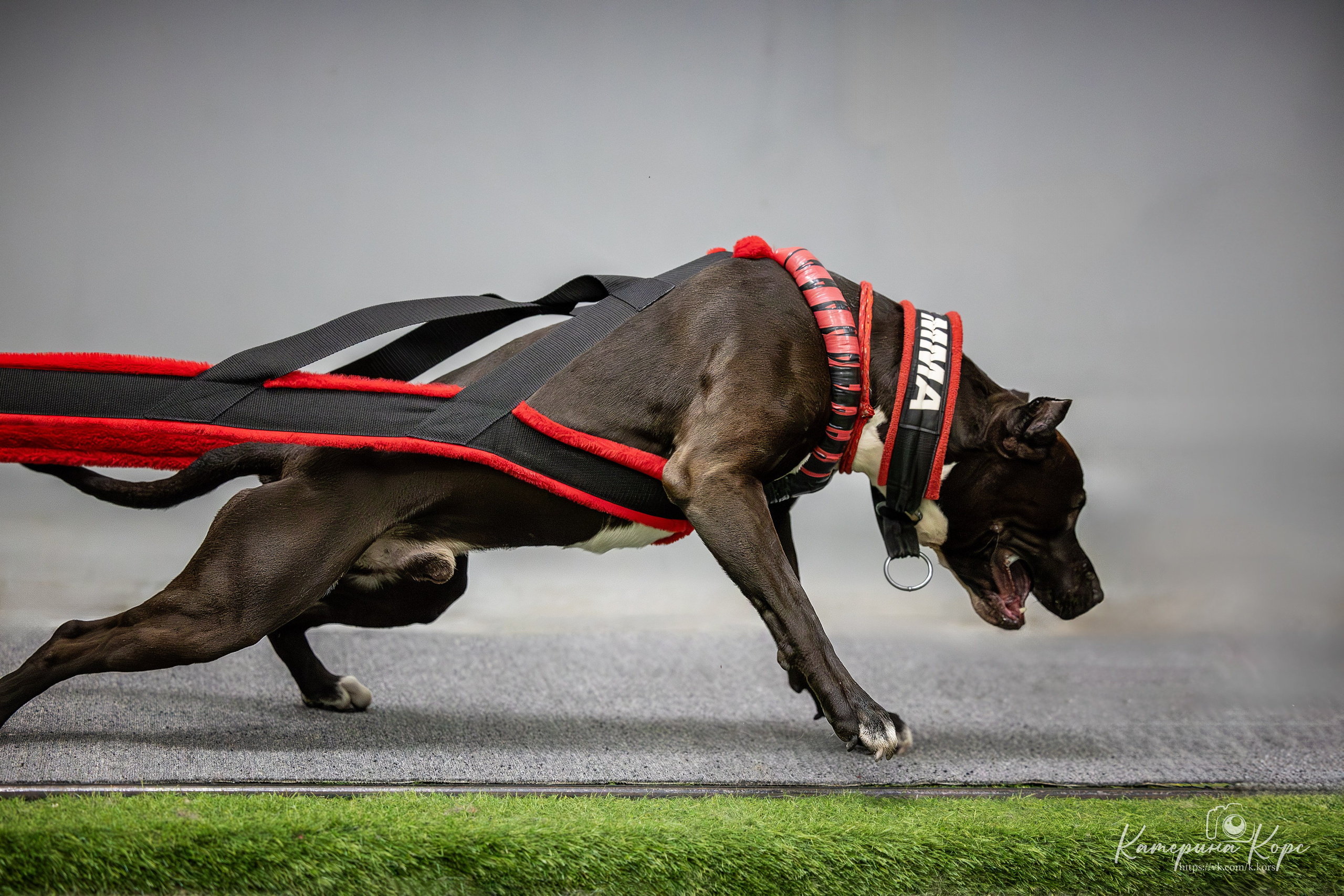 Спорт. Главная