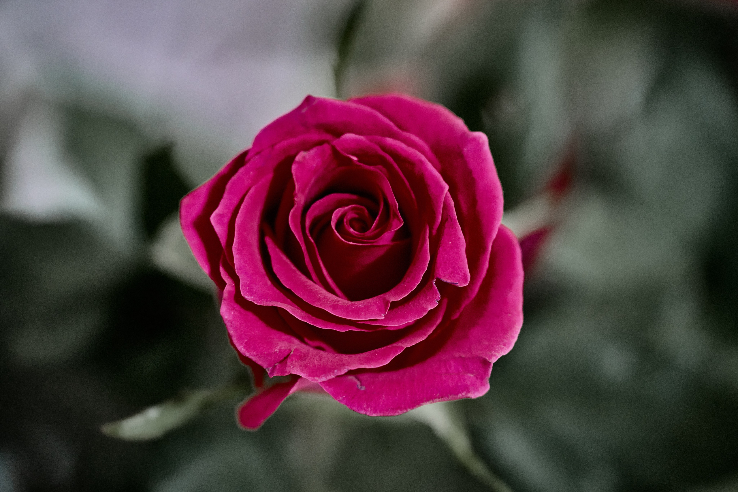 Лисичанск. Луганская область. Фотопроект «Территории»