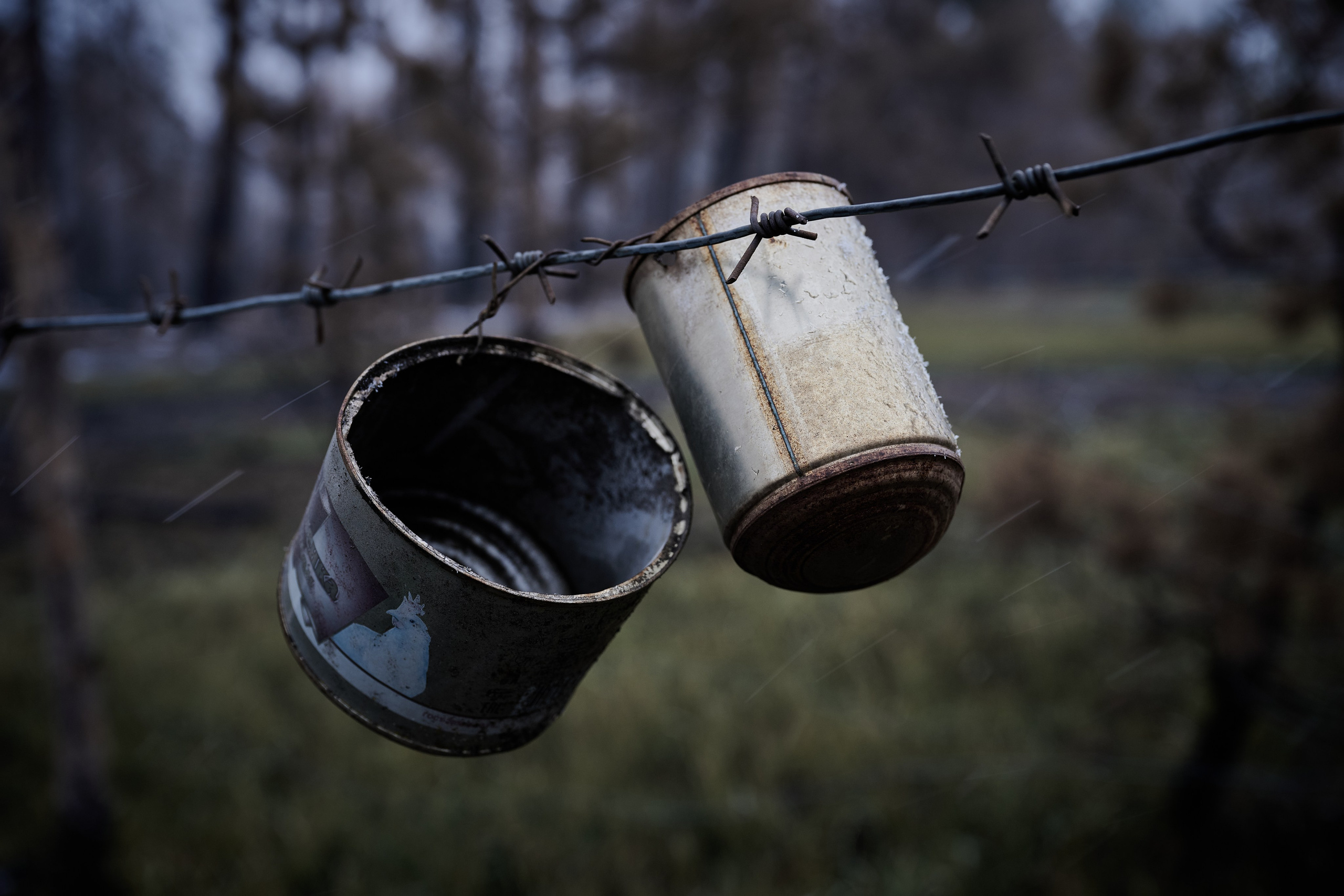 Фото для презентации фотопроекта «Территории». Фотопроект «Территории»