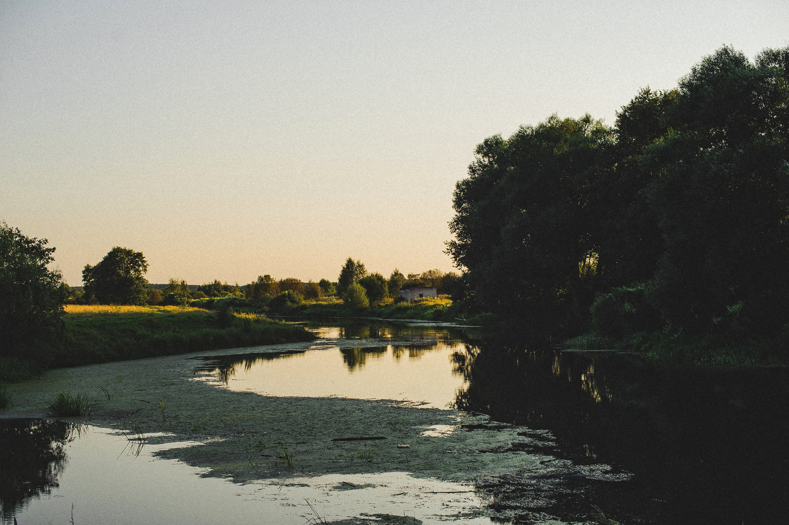 ЛЕТО в ДЕРЕВНЕ. Свадебный и семейный фотограф РИТА БОЧКАРЁВА