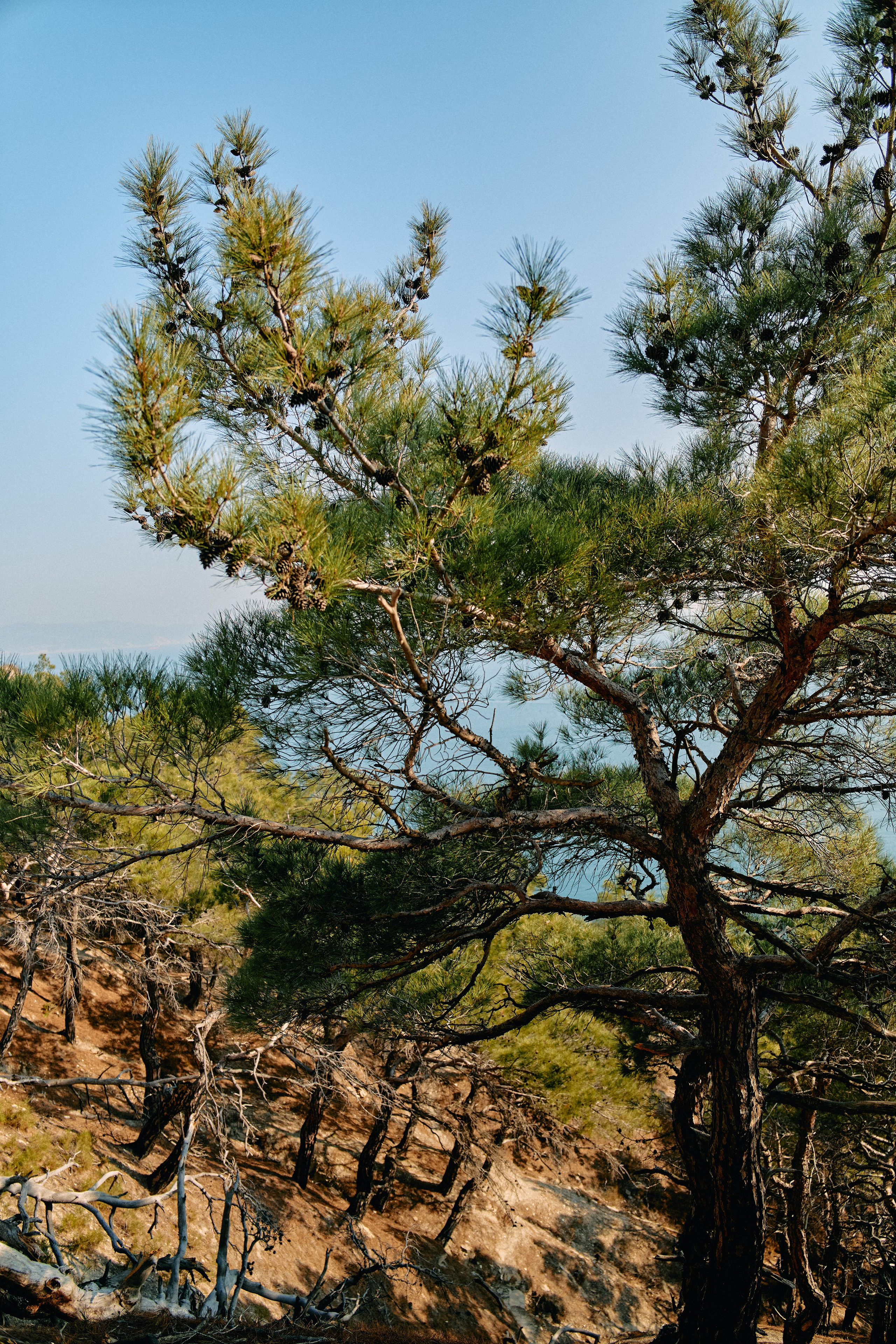 Юг России. Профессиональный Фотограф во Владимире, в Москве и в Суздале — Полина Романычева
