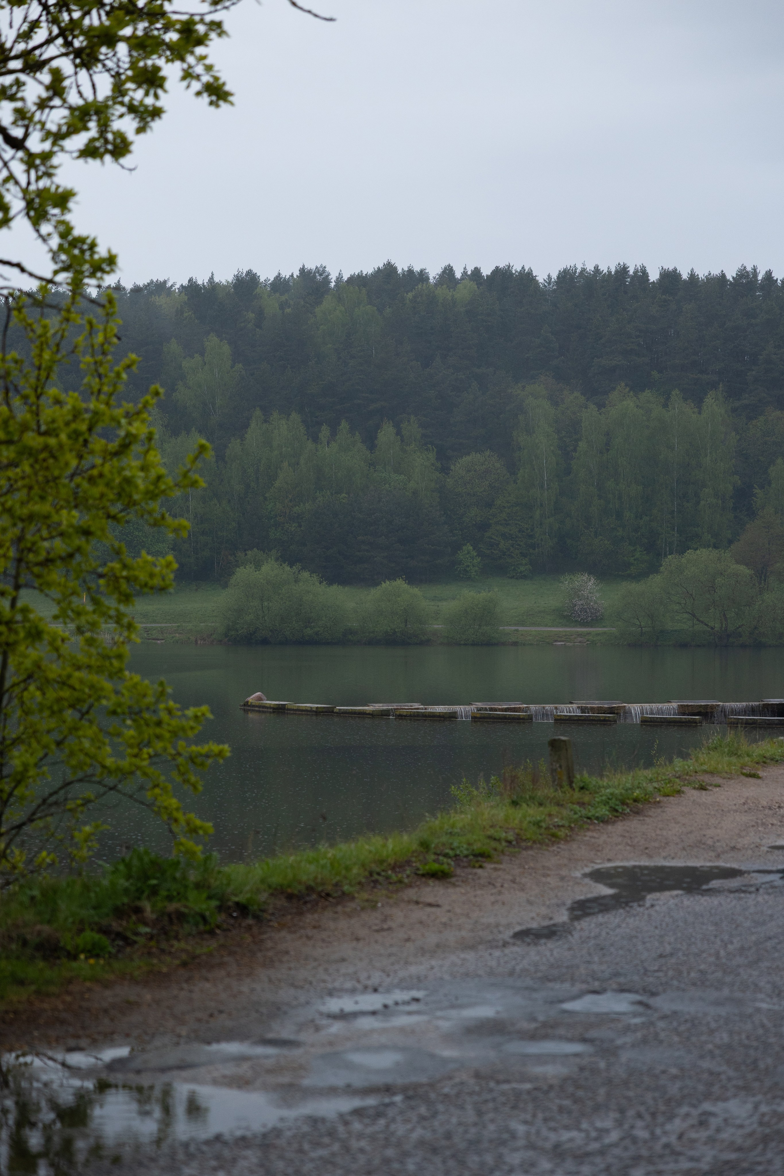 Ксения&Дима. Свадебный фотограф по всей Беларуси Цепелева Анна