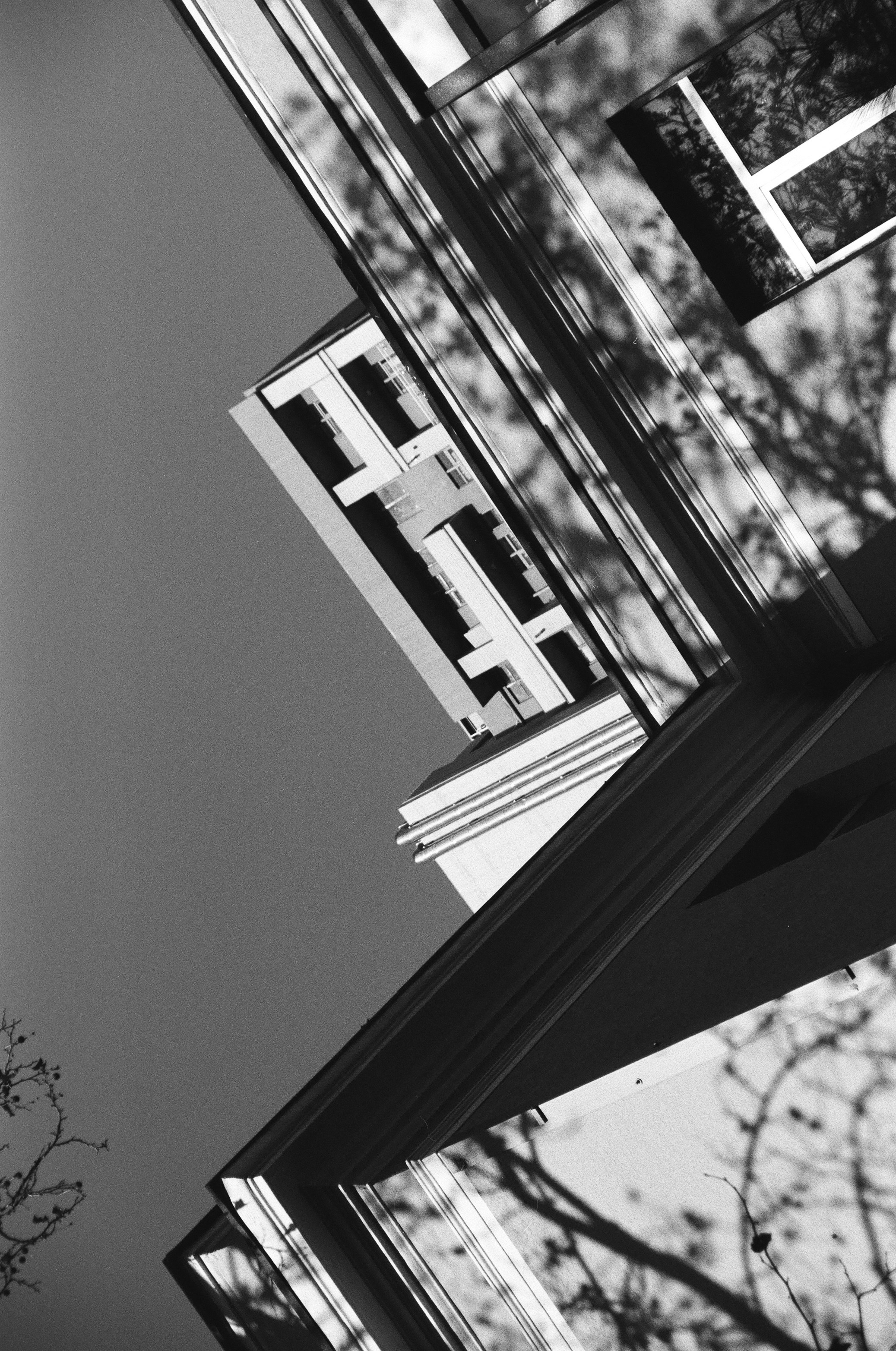 ON THE GO. Сocoobird || Атмосфера твоего бренда в снимках и видео