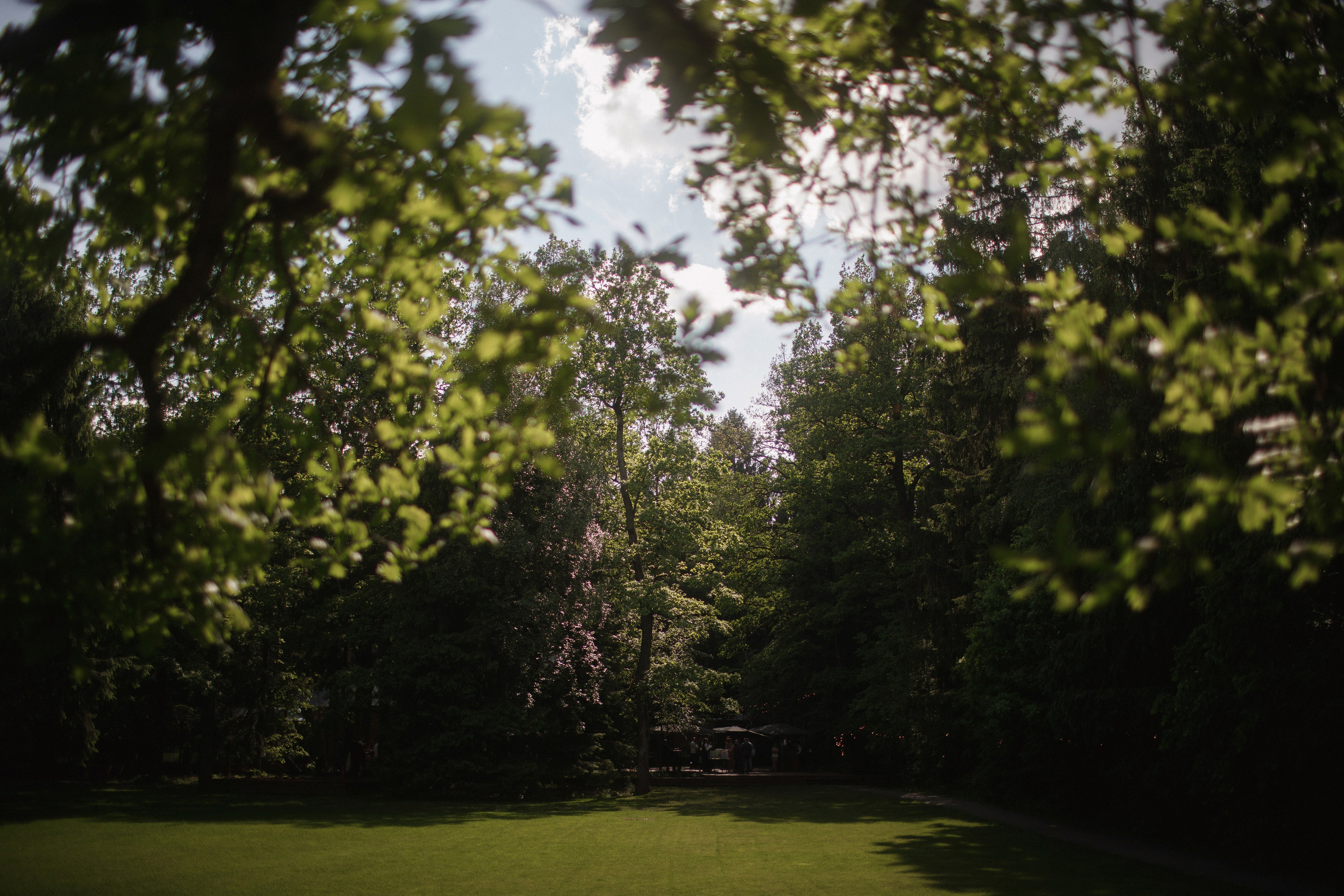 Анна и Валентин. Фотограф Москва, Чехов Цыкоза Алина