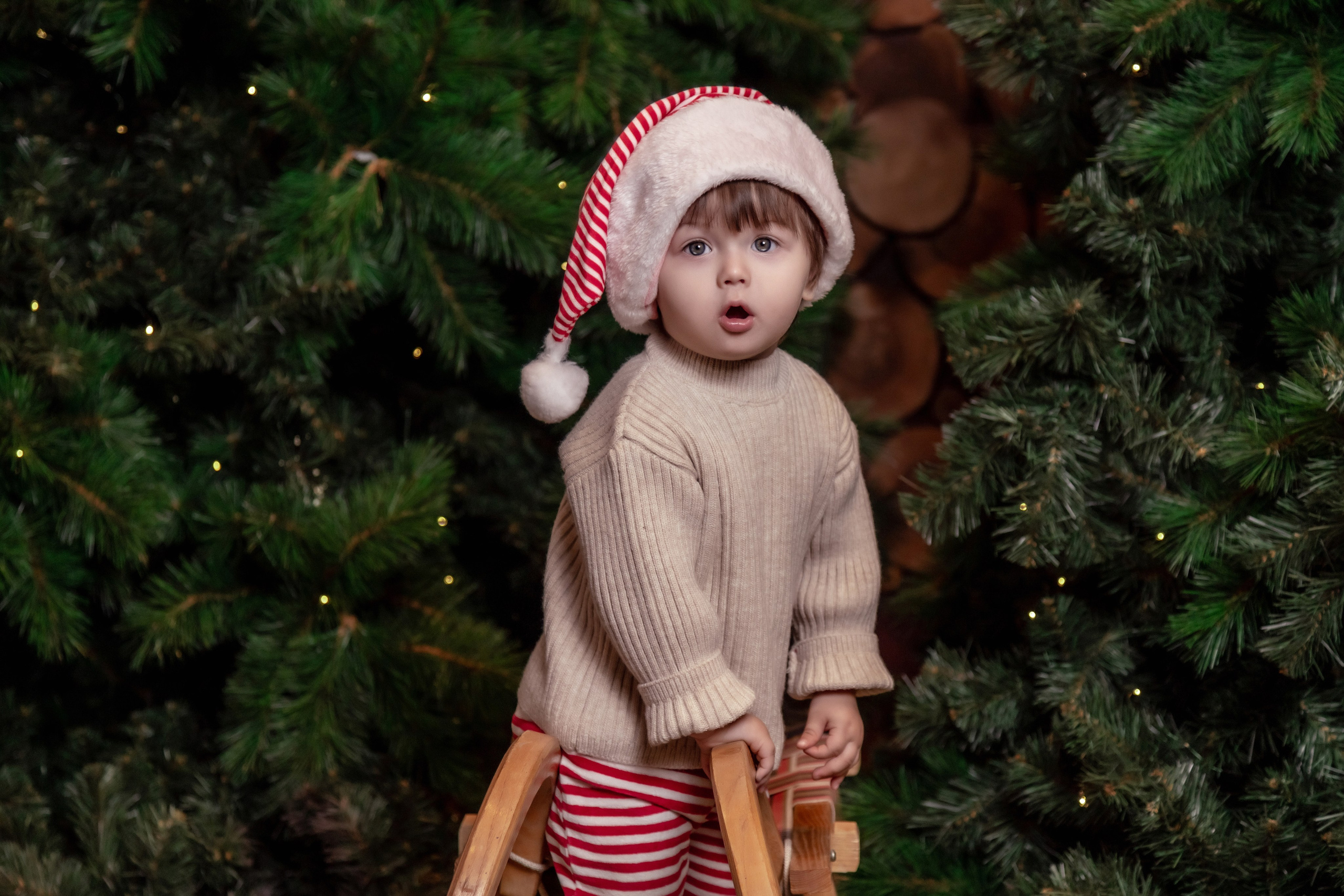 НОВЫЙ ГОД и Рождество в СТУДИЯХ. Фотограф Алина Лебедь