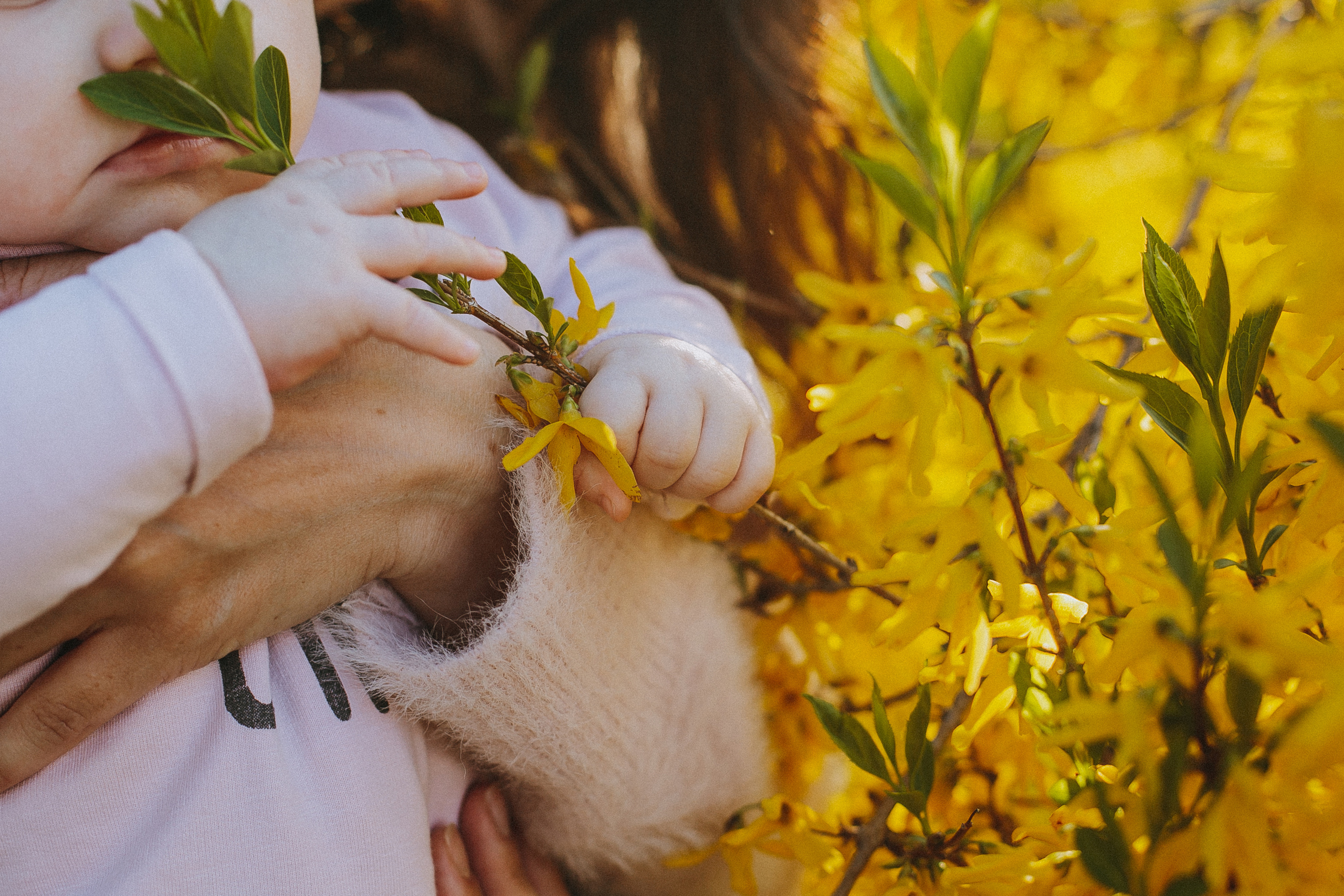 Семья Цукановых). Свадебный и семейный фотограф Захарова Юлия