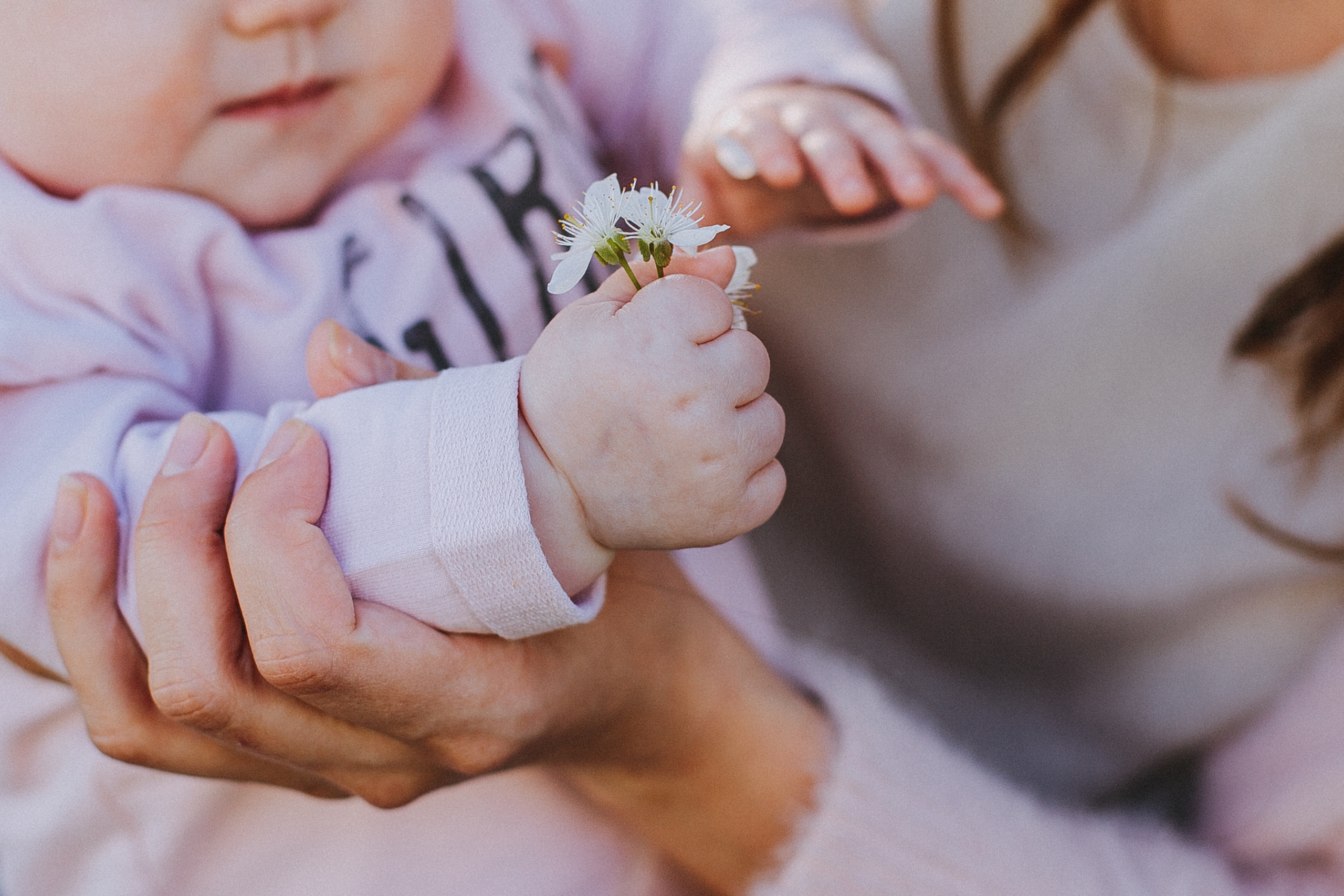 Семья Цукановых). Свадебный и семейный фотограф Захарова Юлия