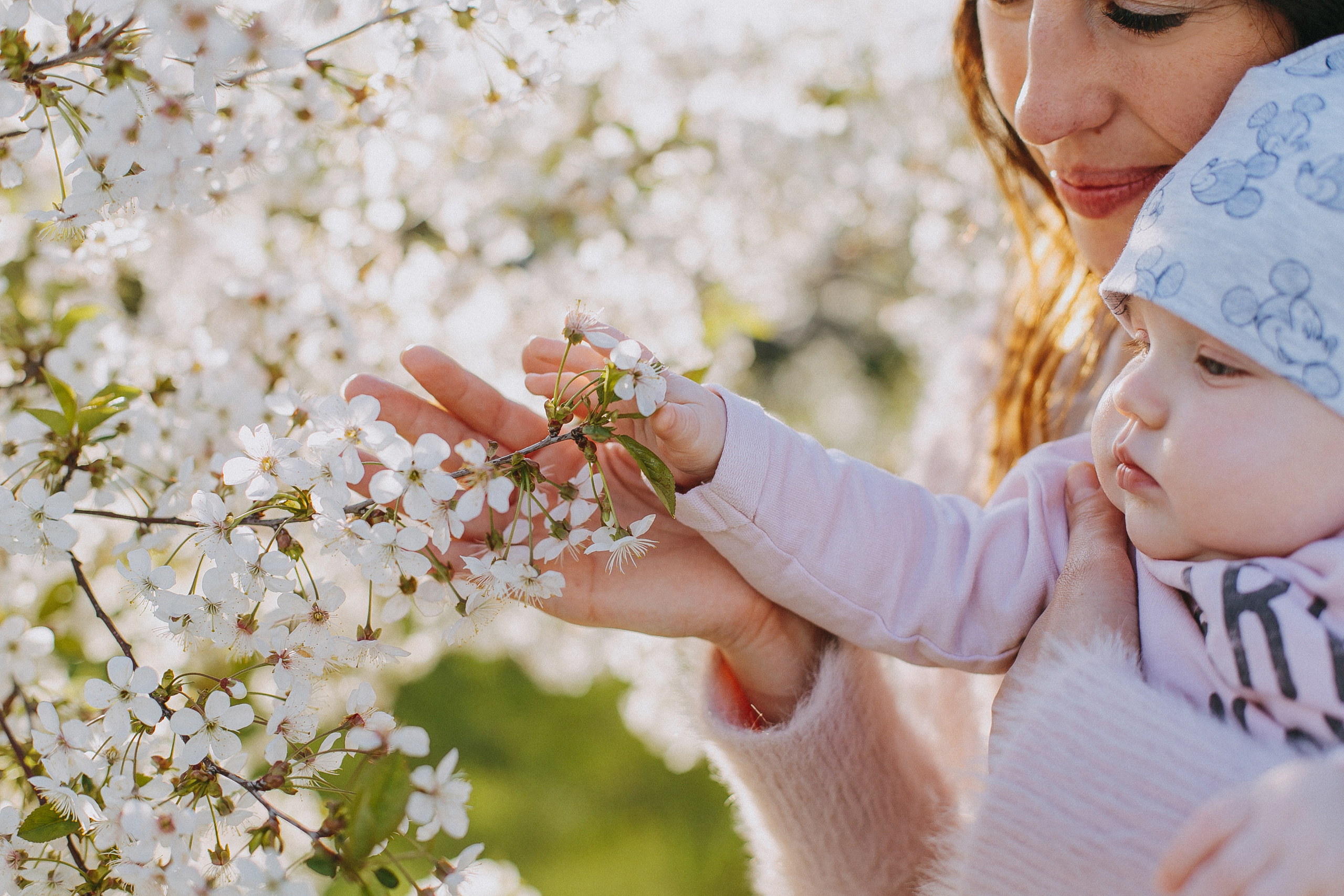 Семья Цукановых). Свадебный и семейный фотограф Захарова Юлия