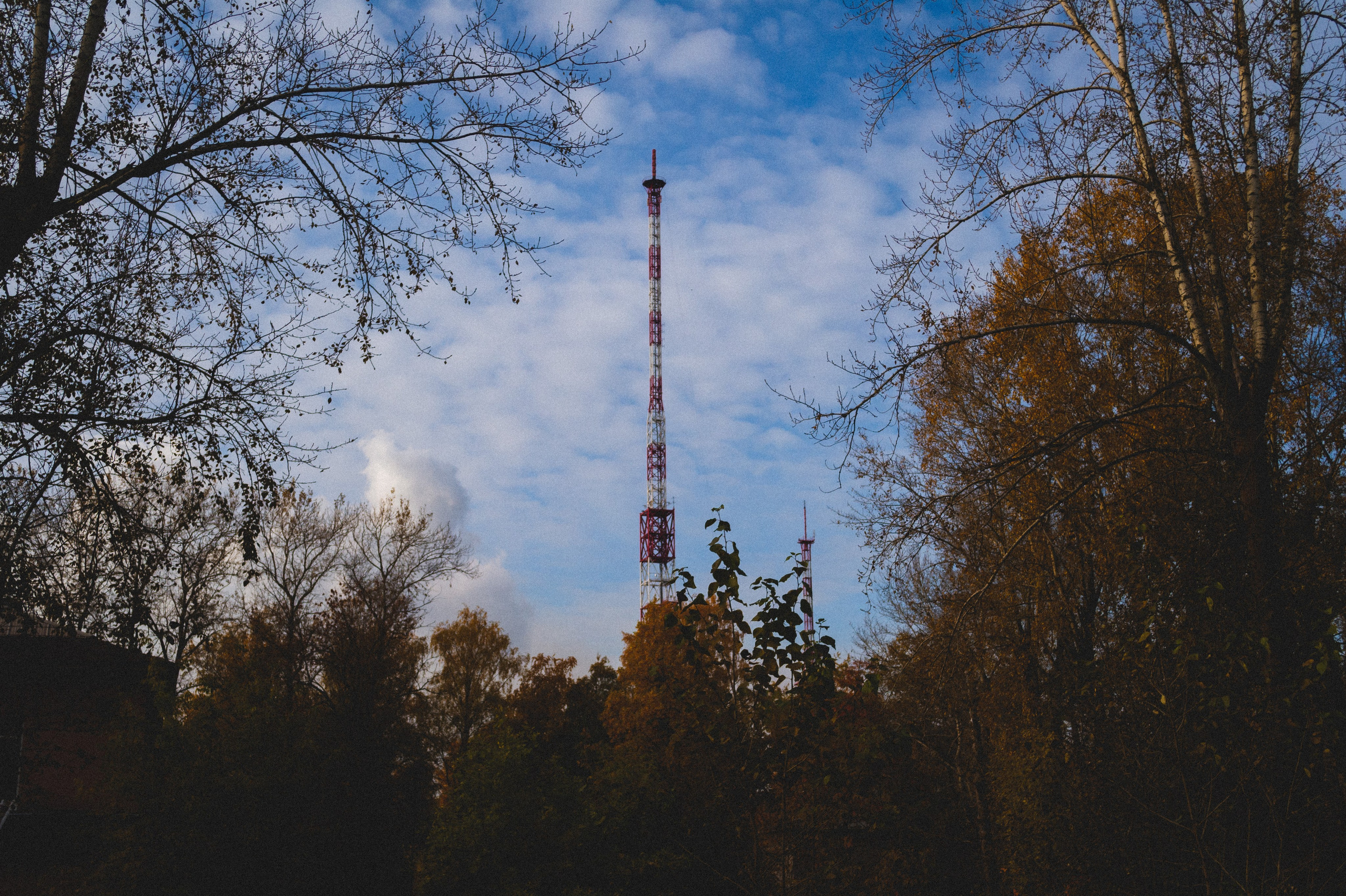 Октябрь 2025. Den Mirov — Фотограф, Музыкант