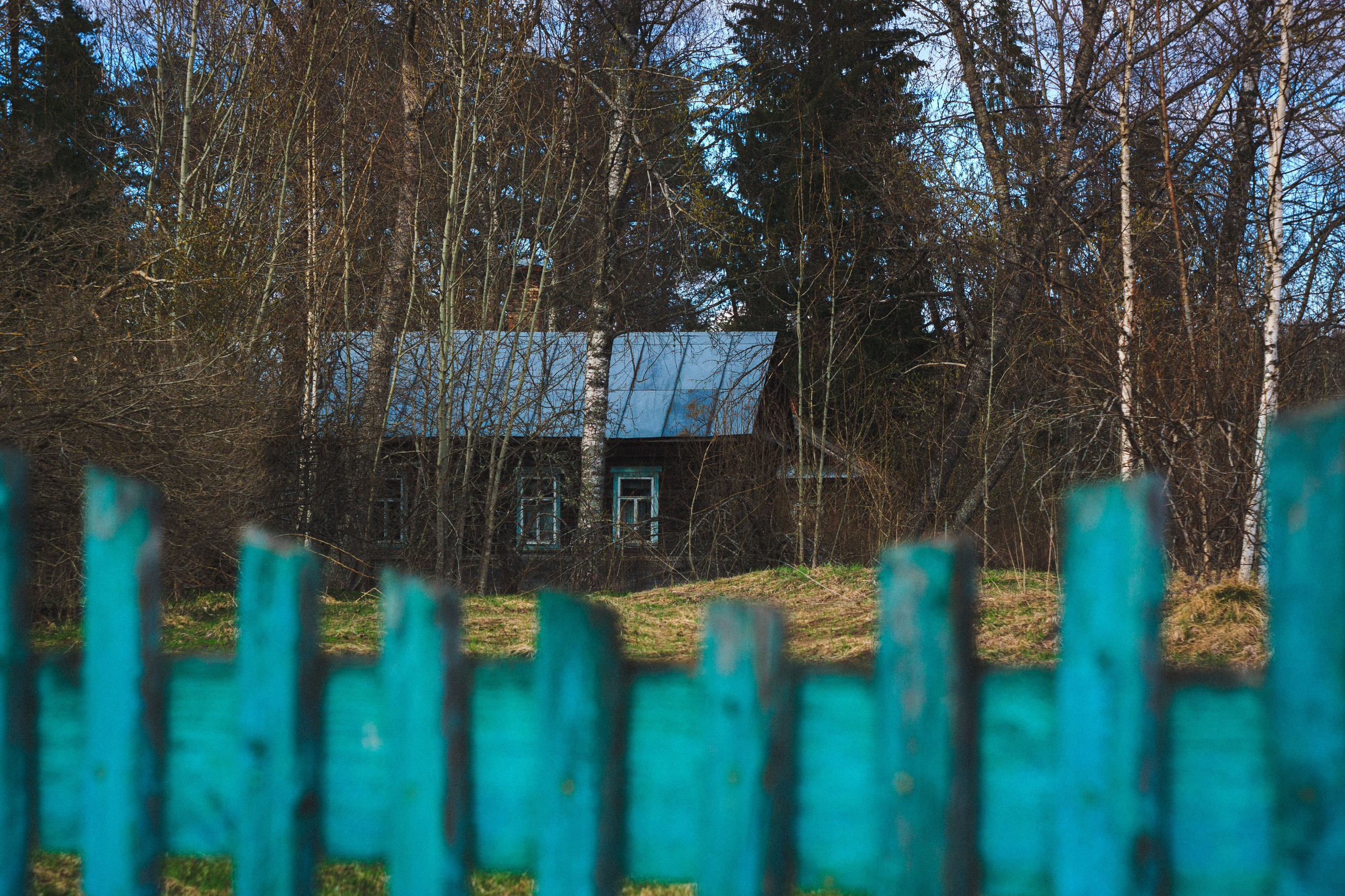 Деревня. Den Mirov — Photographer, Musician