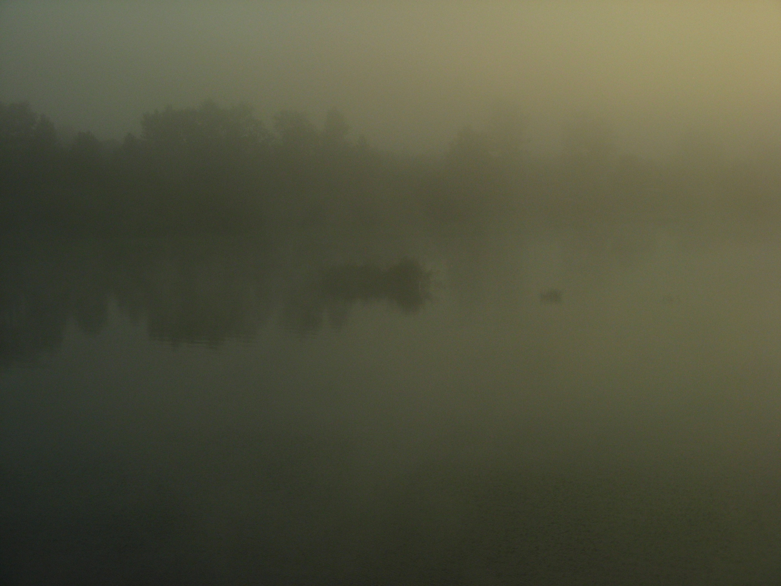 Август 2025. Den Mirov — Фотограф, Музыкант