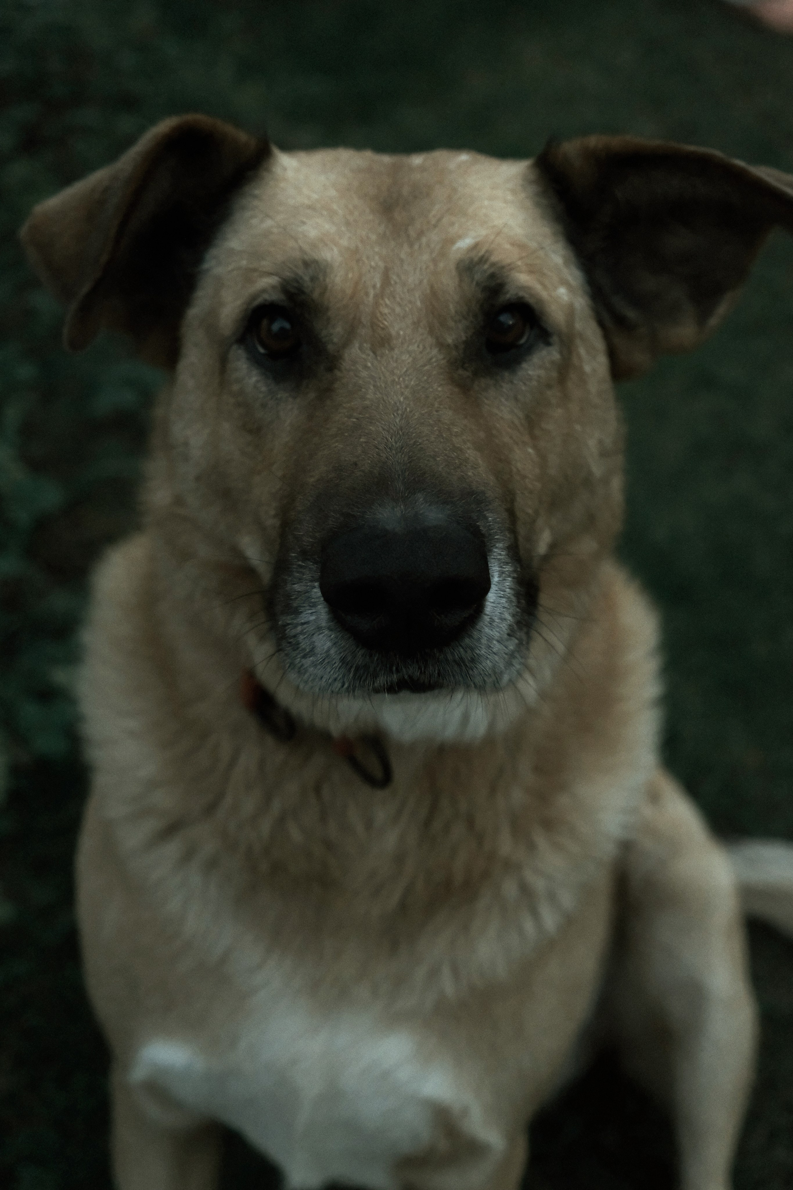 Природа (серия). Фотограф YODLUCE