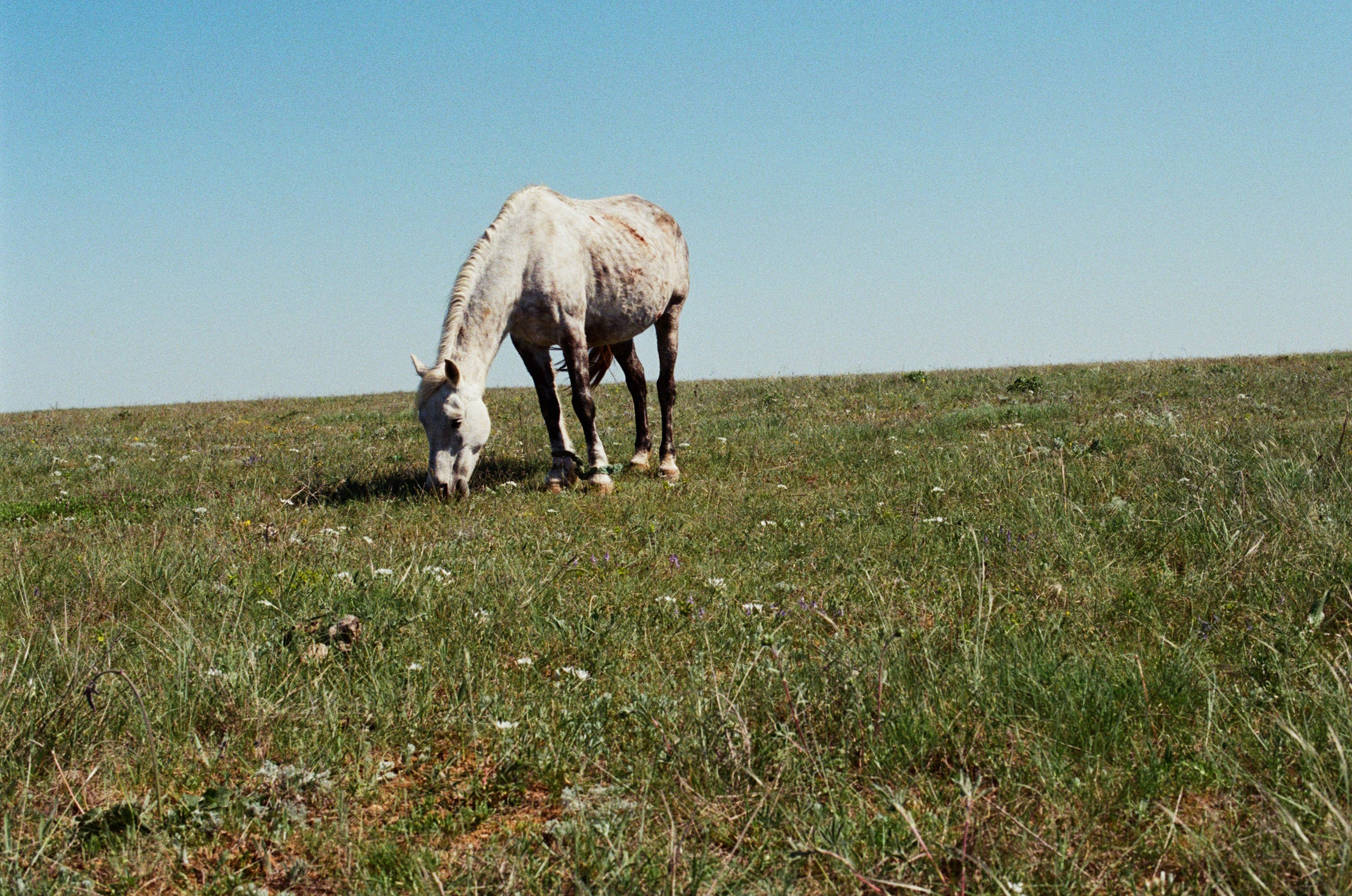 Some kind of madness // ukraine, crimea V. EVER EXPOSED