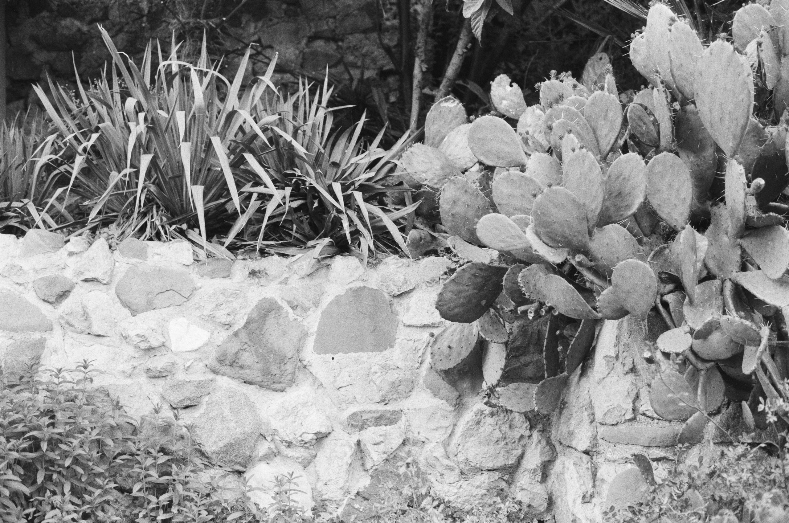 Sparks // ukraine, crimea II. EVER EXPOSED