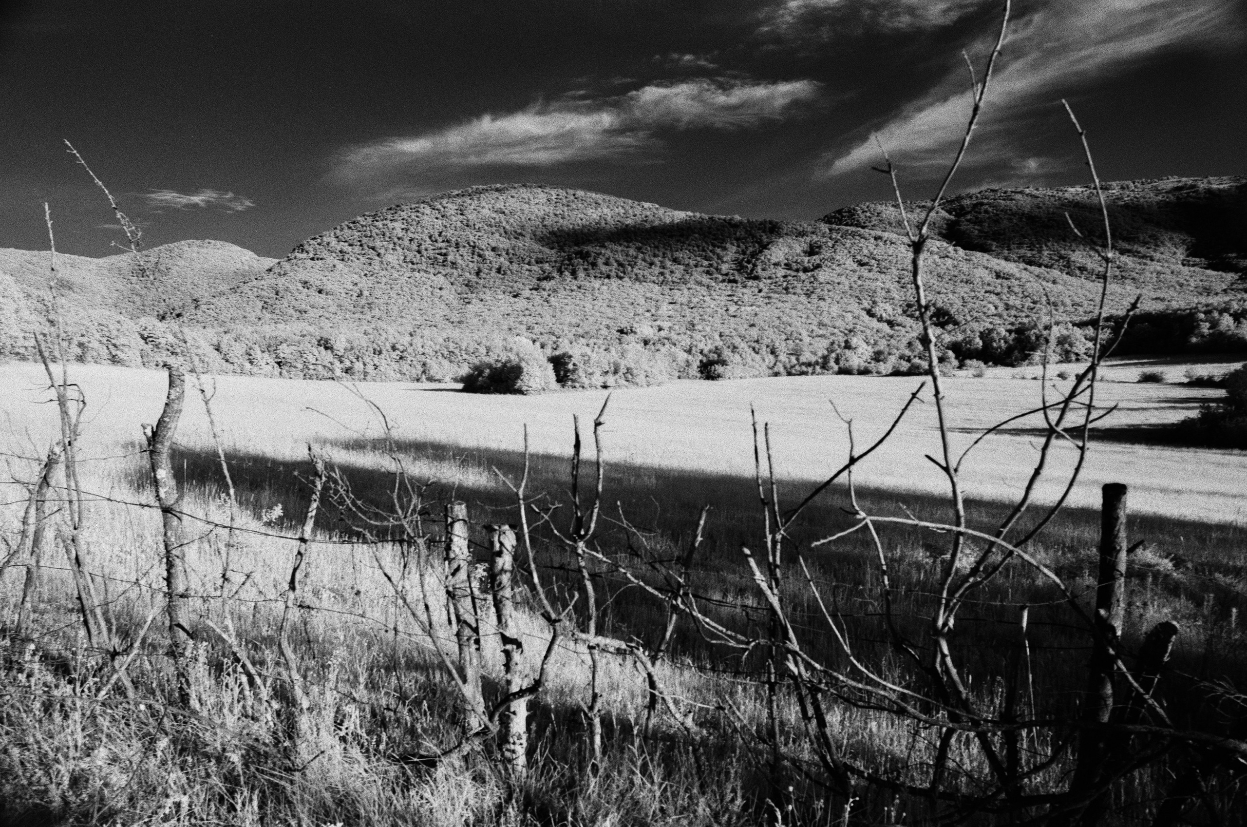 Point of no reply // ukraine, crimea VII. EVER EXPOSED