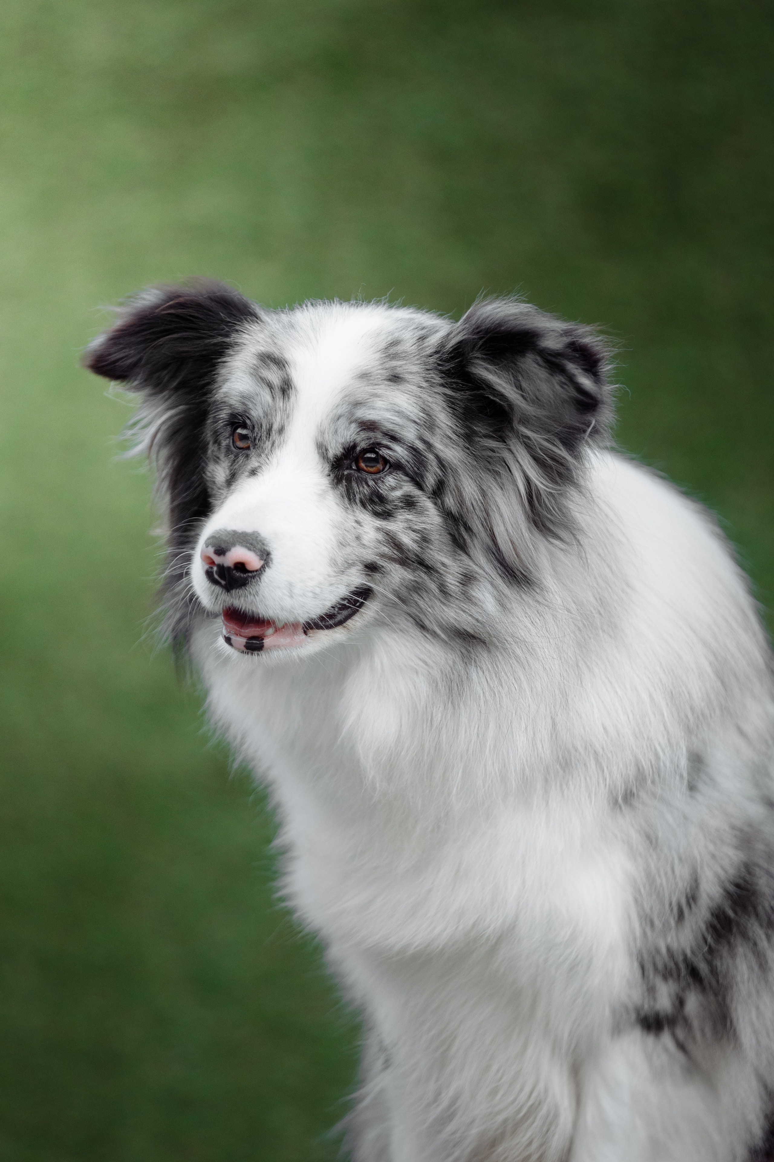 Свое место. О нас