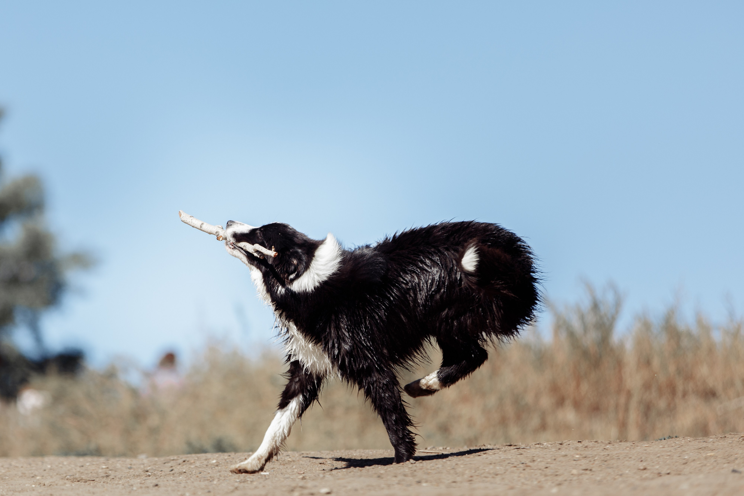 Водяные в Новотроицке. О нас