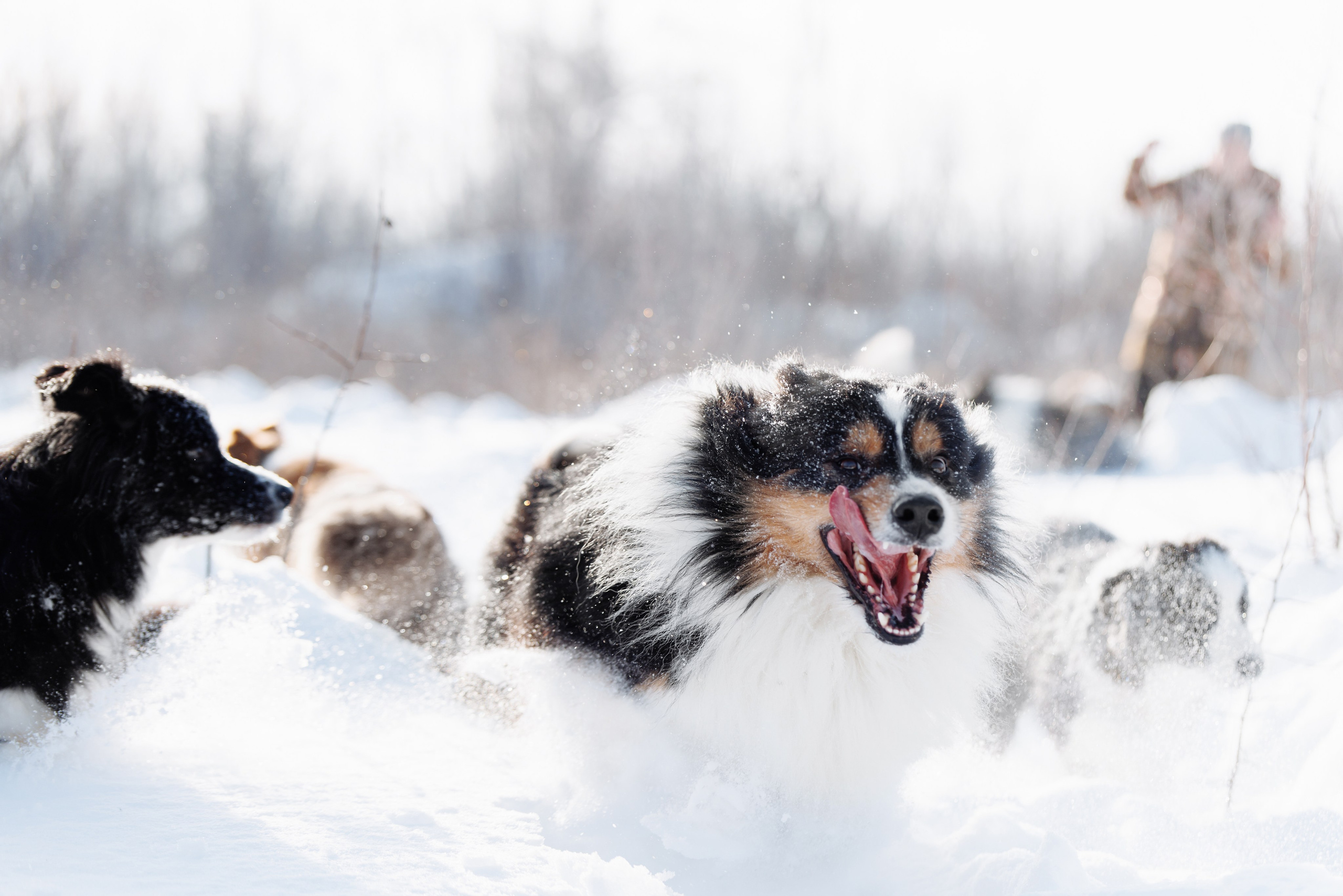 Яркий январь. О нас