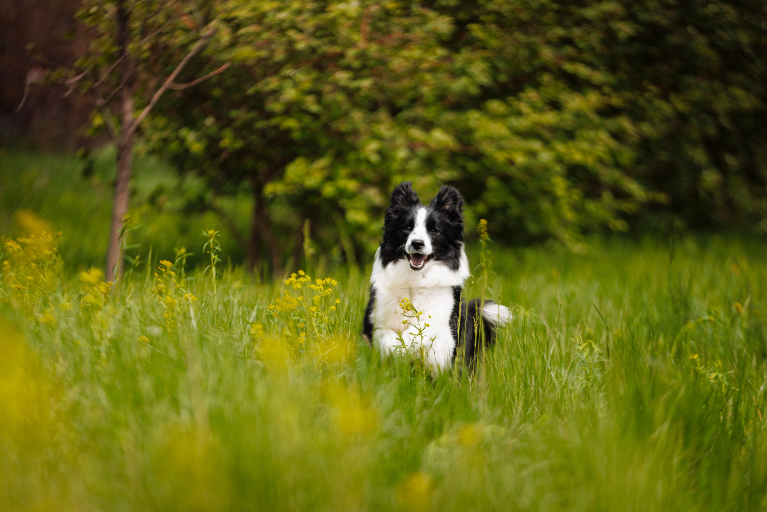 Ryzhaya Molniya Easy — Изи. О нас