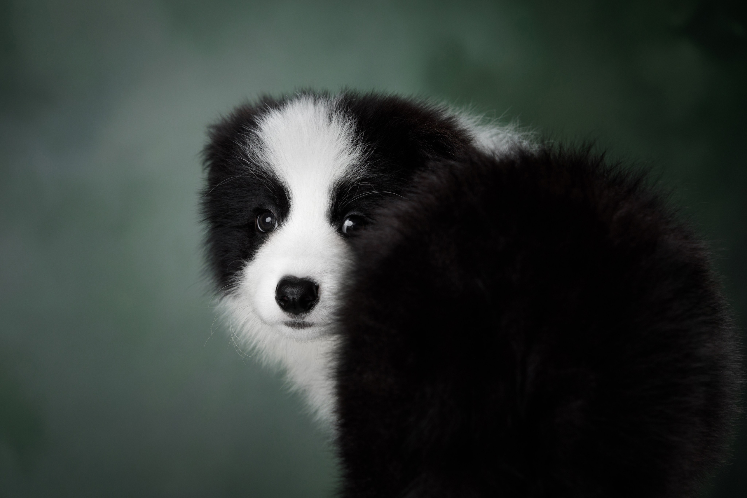 Март. Весна. 22. О нас