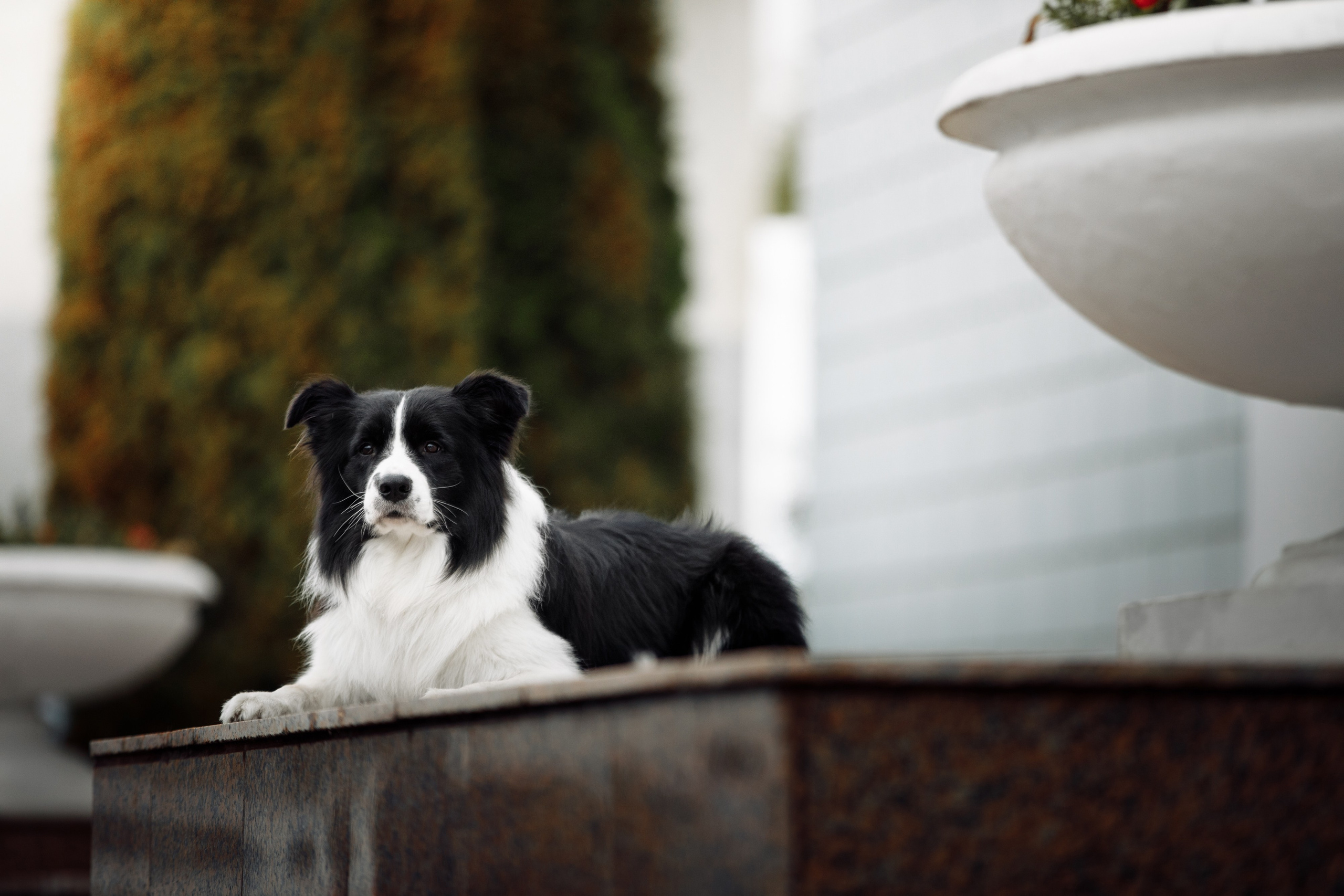 Казань. О нас