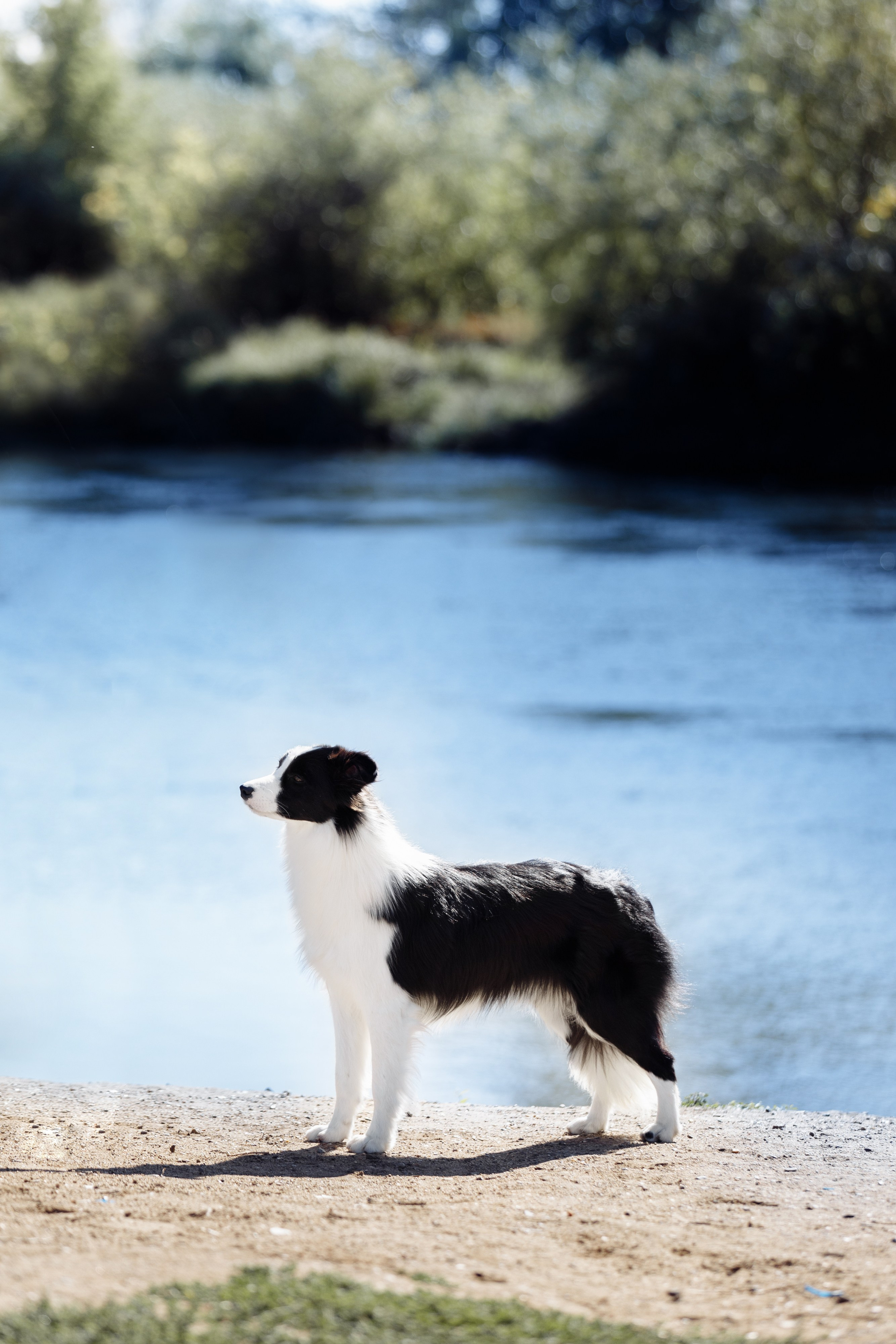 Водяные в Новотроицке. О нас