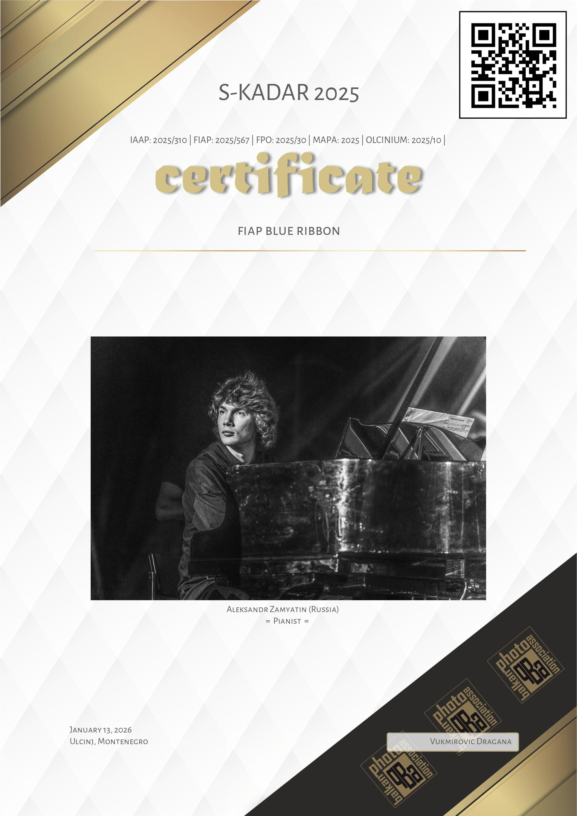 Мои награды