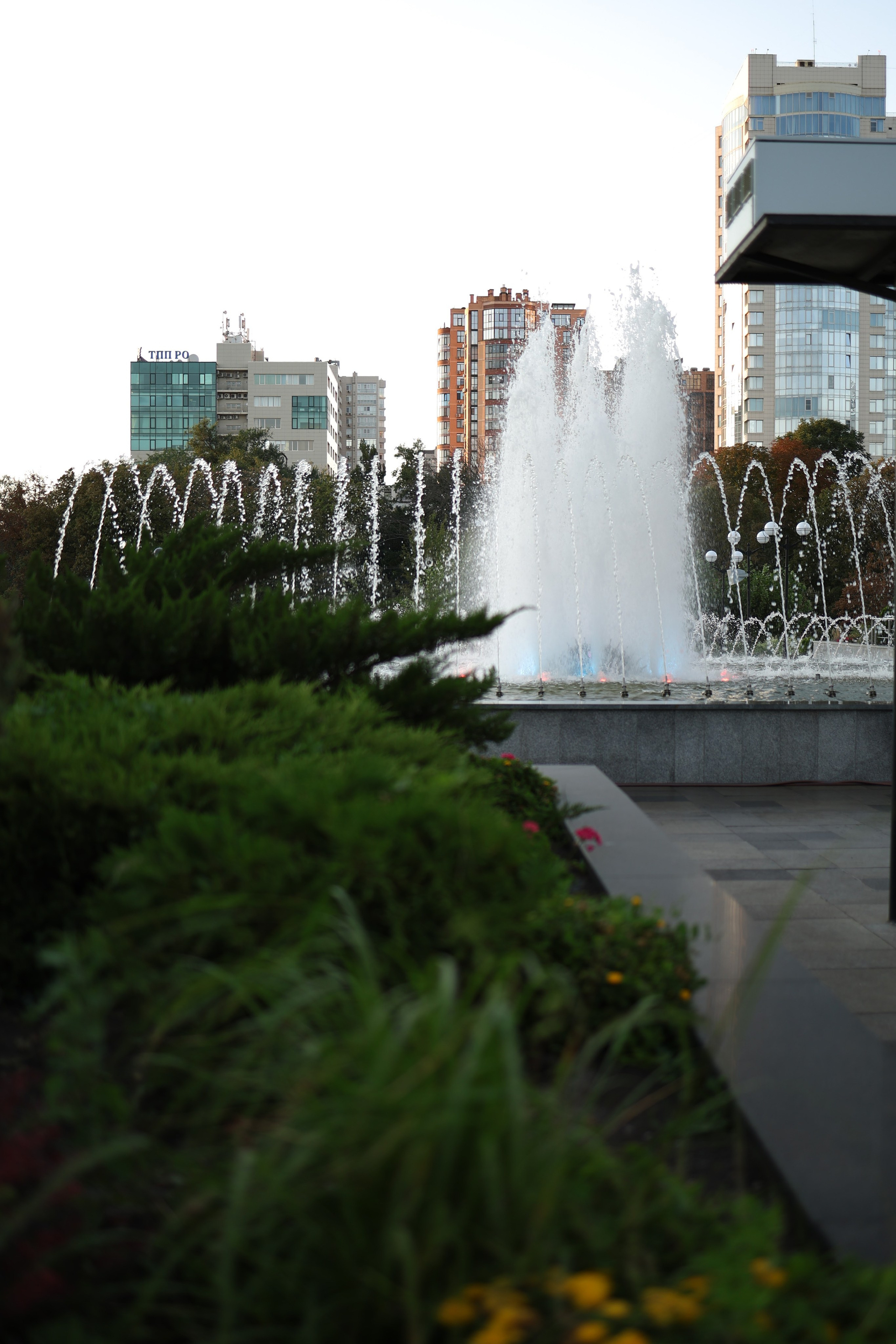 Локации для свадебной фотосессии. Свадебный фотограф | Ростов-на-Дону | Краснодар | Сочи