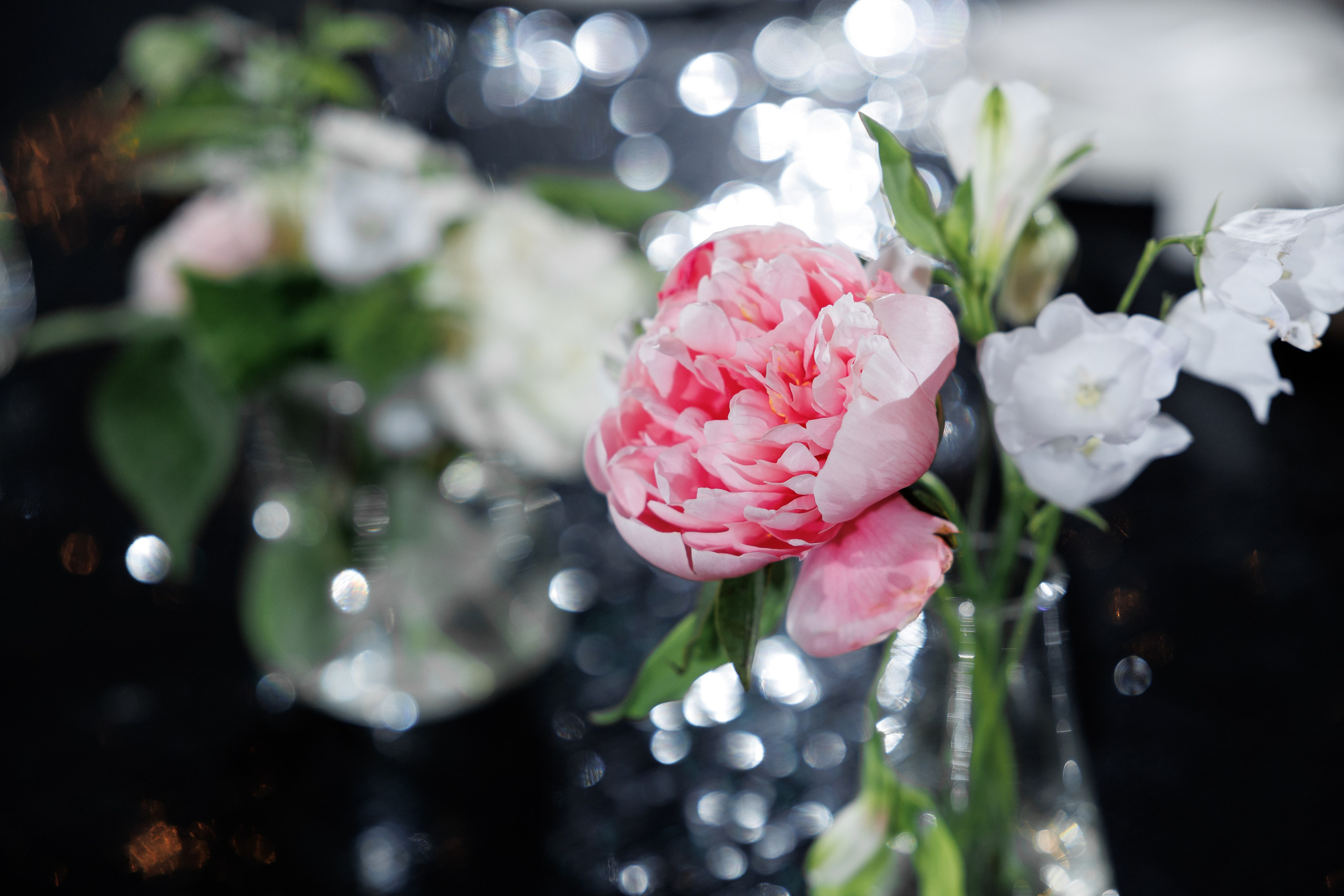 Выпуск РУДН / «Шале Березка». Свадебный и семейный фотограф