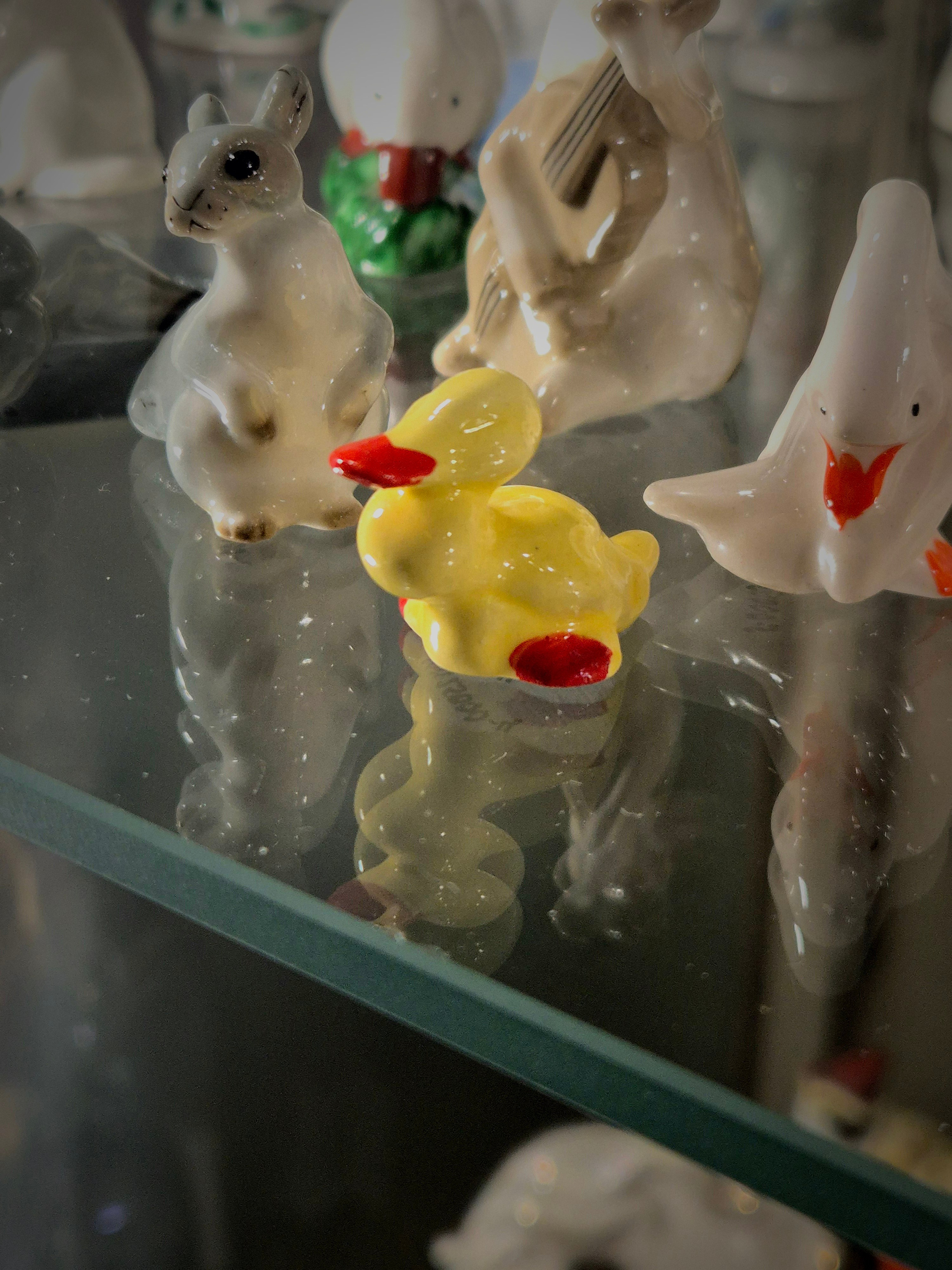 Уточки бывают не только резиновые