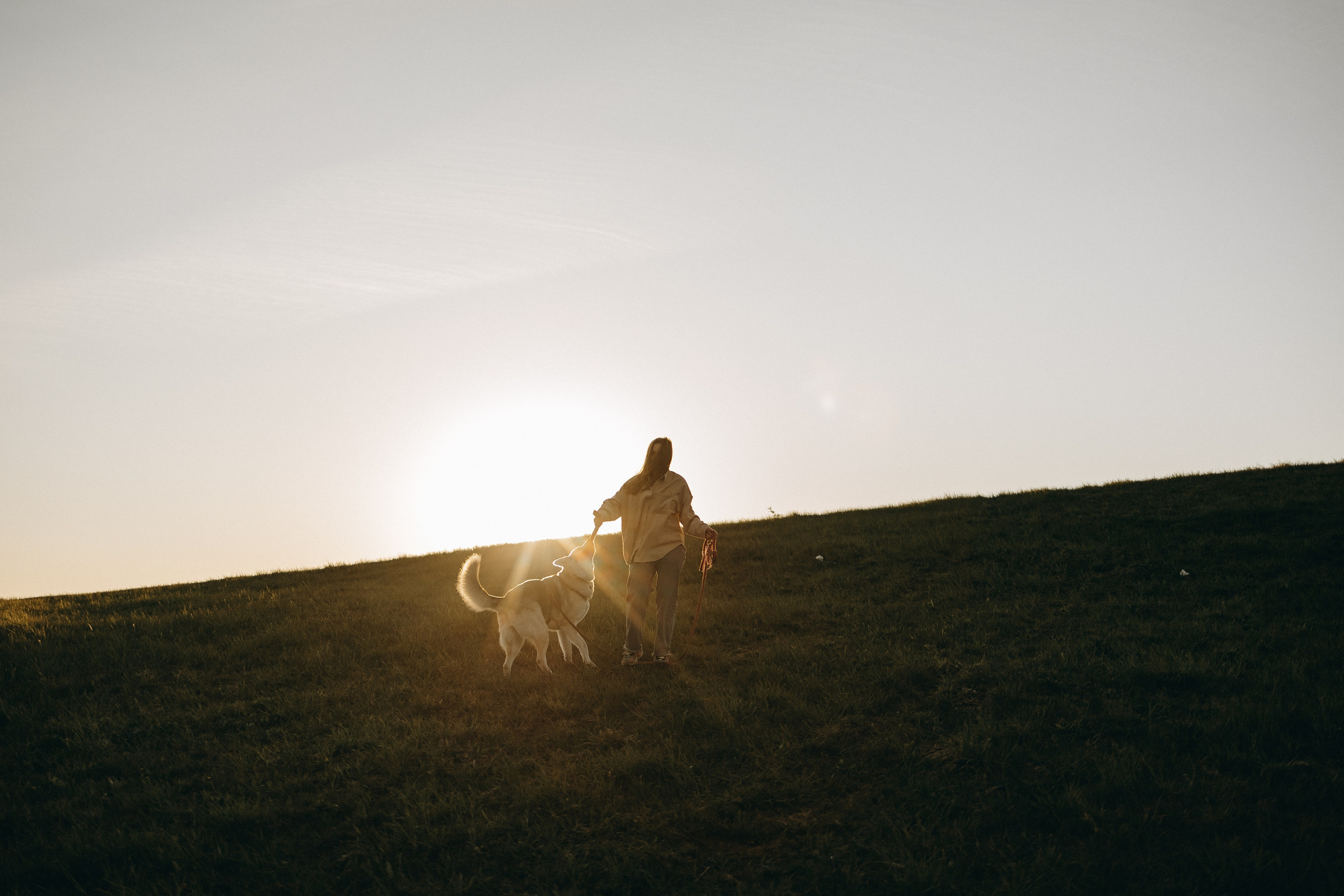 Саша и Зельда. Фотограф — Анималист | Санкт-Петербург