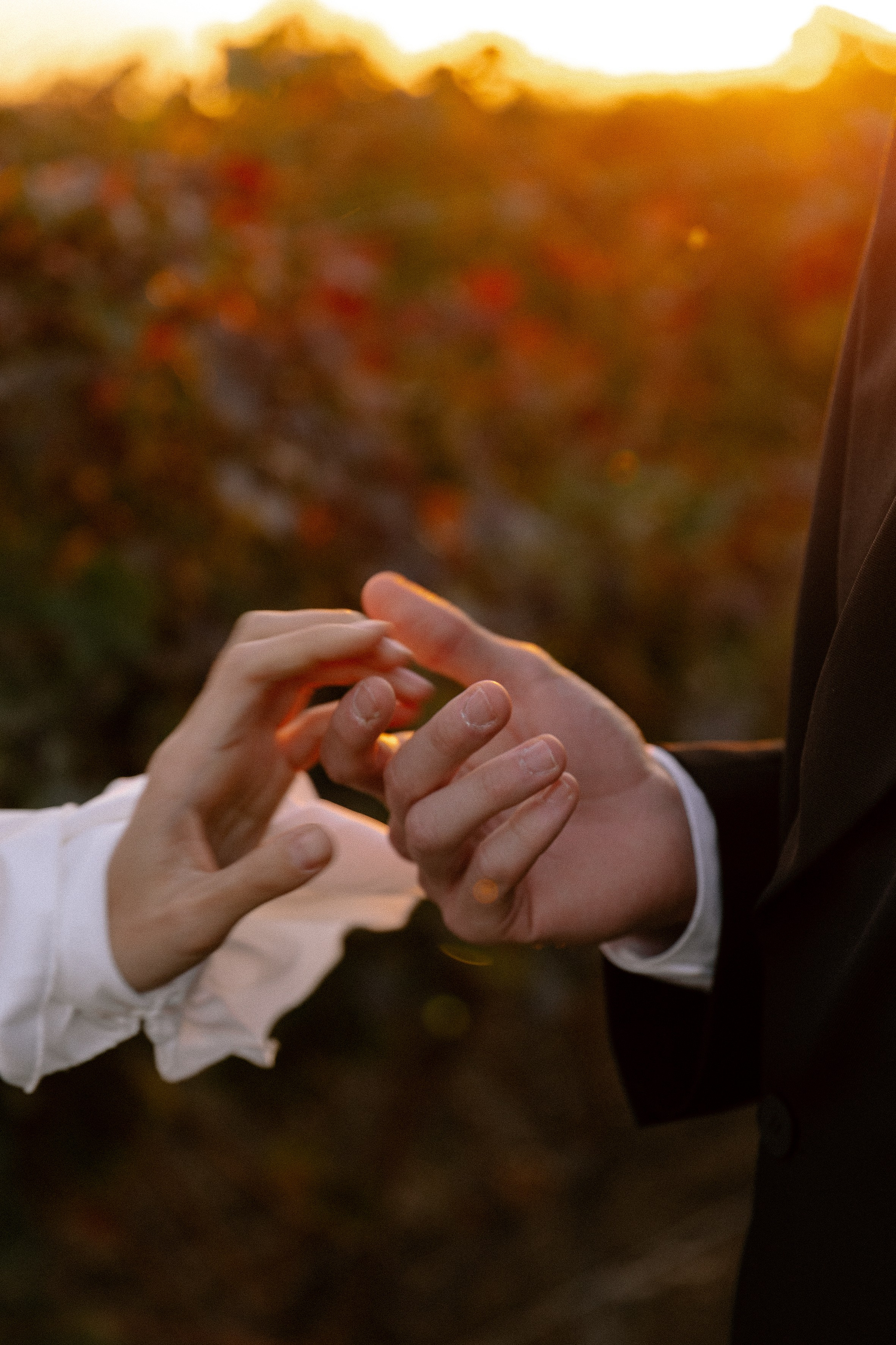 Kris & Misha. Свадебный фотограф Кирилл Пархоменко. Фотосессия свадебная