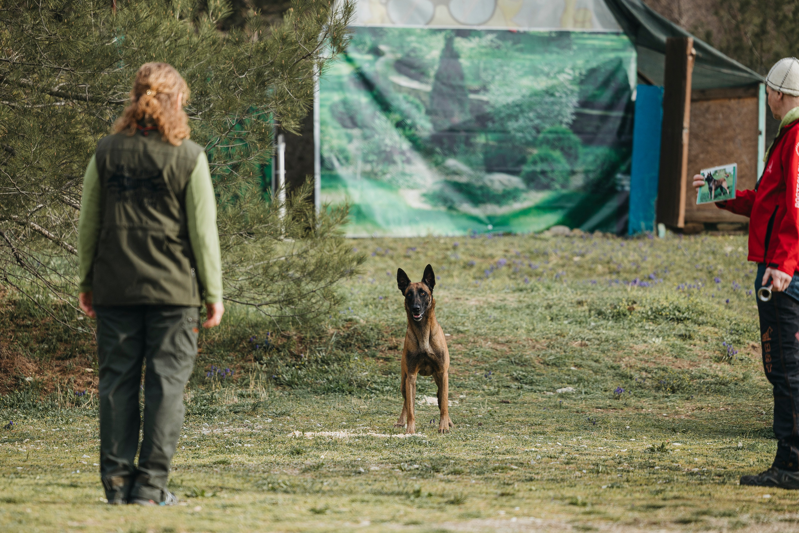 Геленджик Мондьоринг. Фотограф-анималист Анна Маринич
