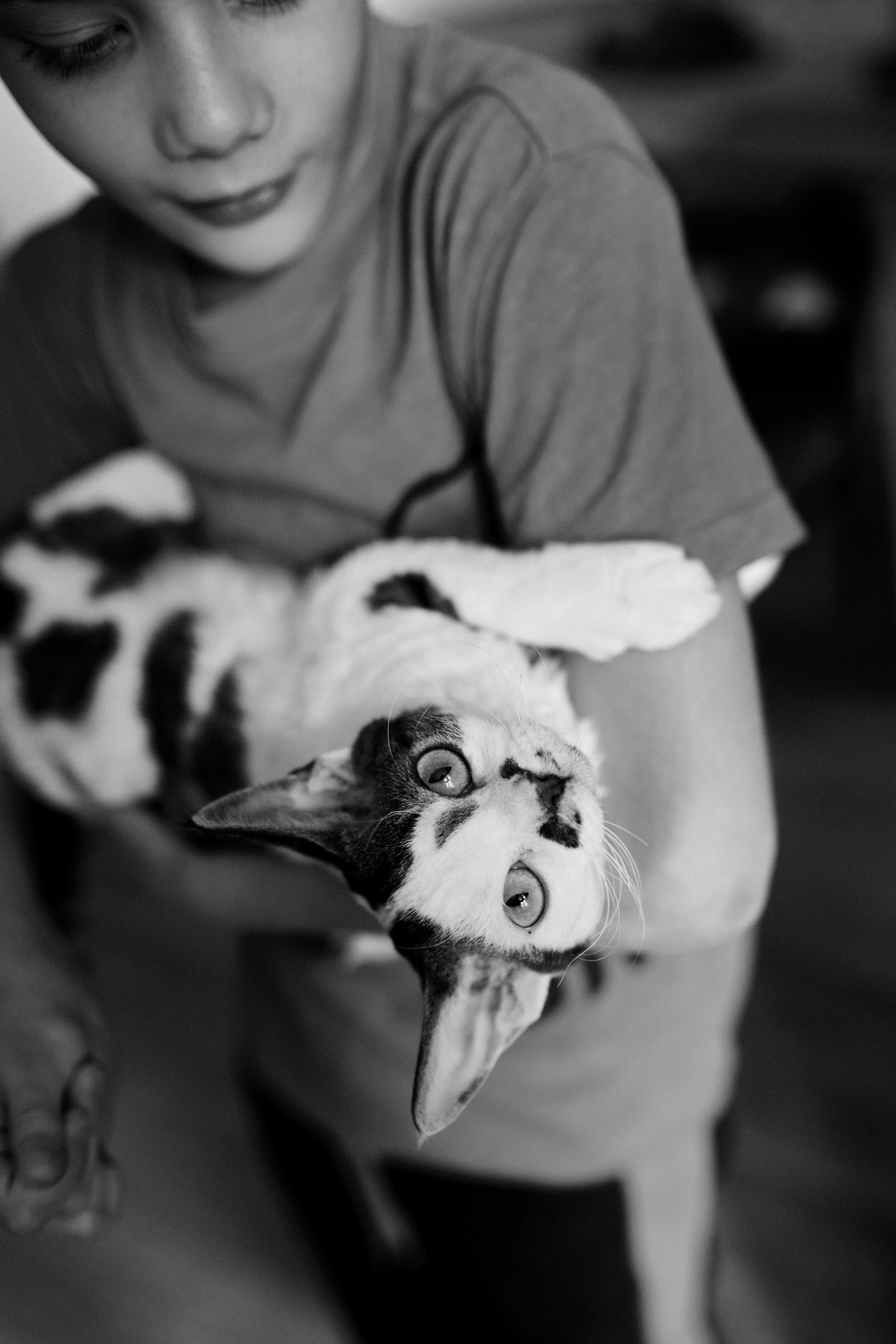 Домашняя съёмка 2+1+2. ✖‿📷 Фотограф| Москва