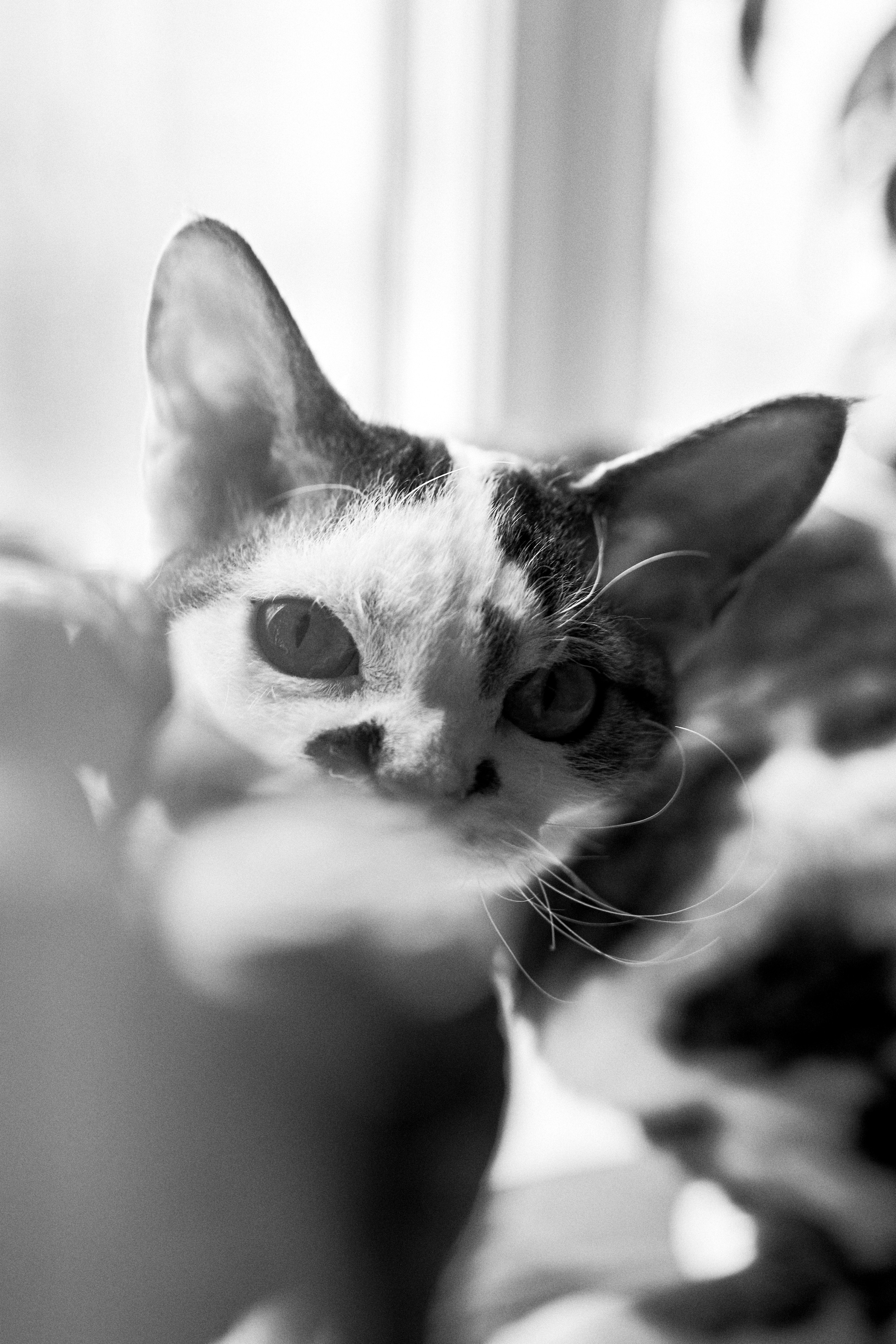 Домашняя съёмка 2+1+2. ✖‿📷 Фотограф| Москва