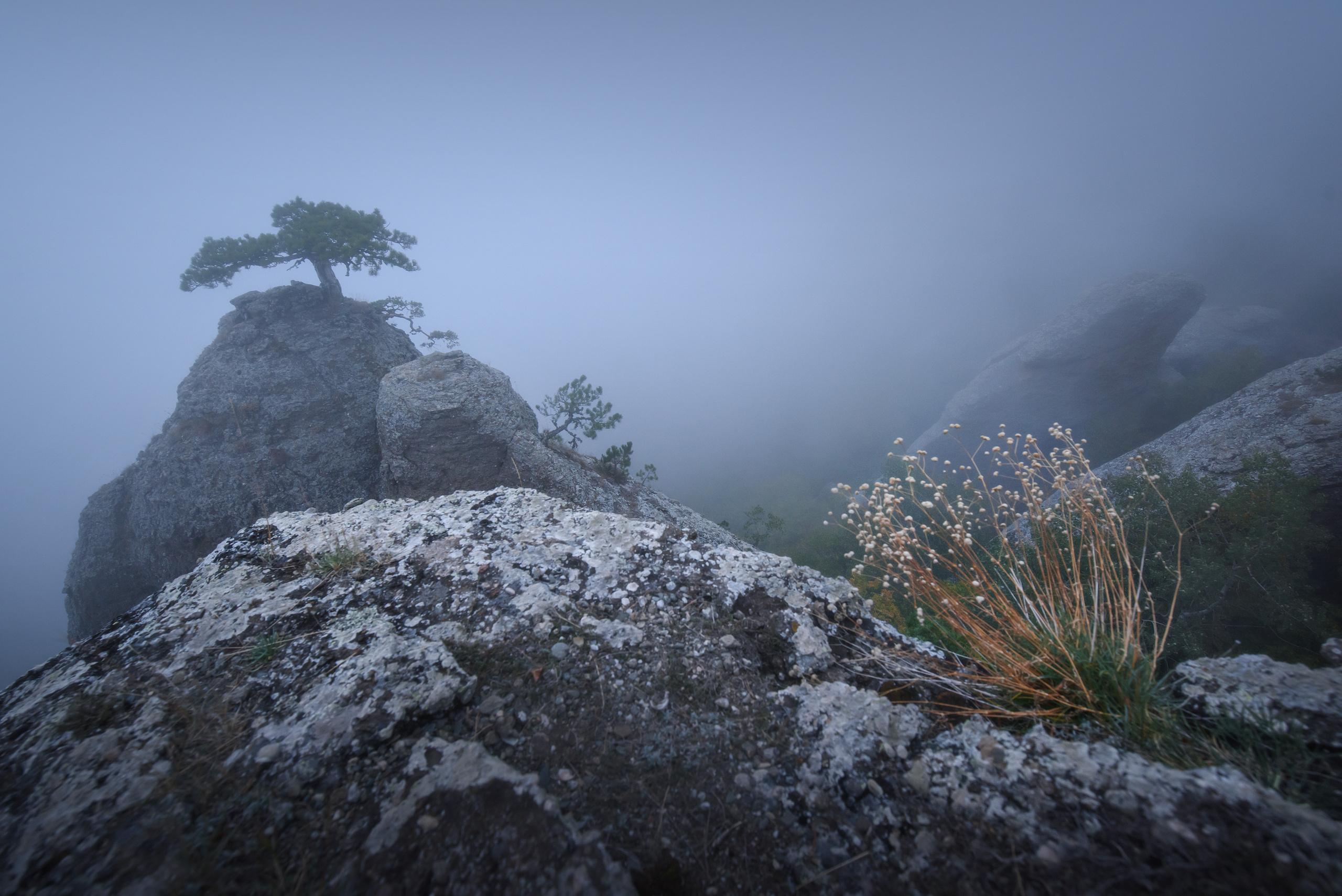 Пейзаж. Фотограф Антон Денисенко: Портрет, Документалистика, Пейзаж. Москва