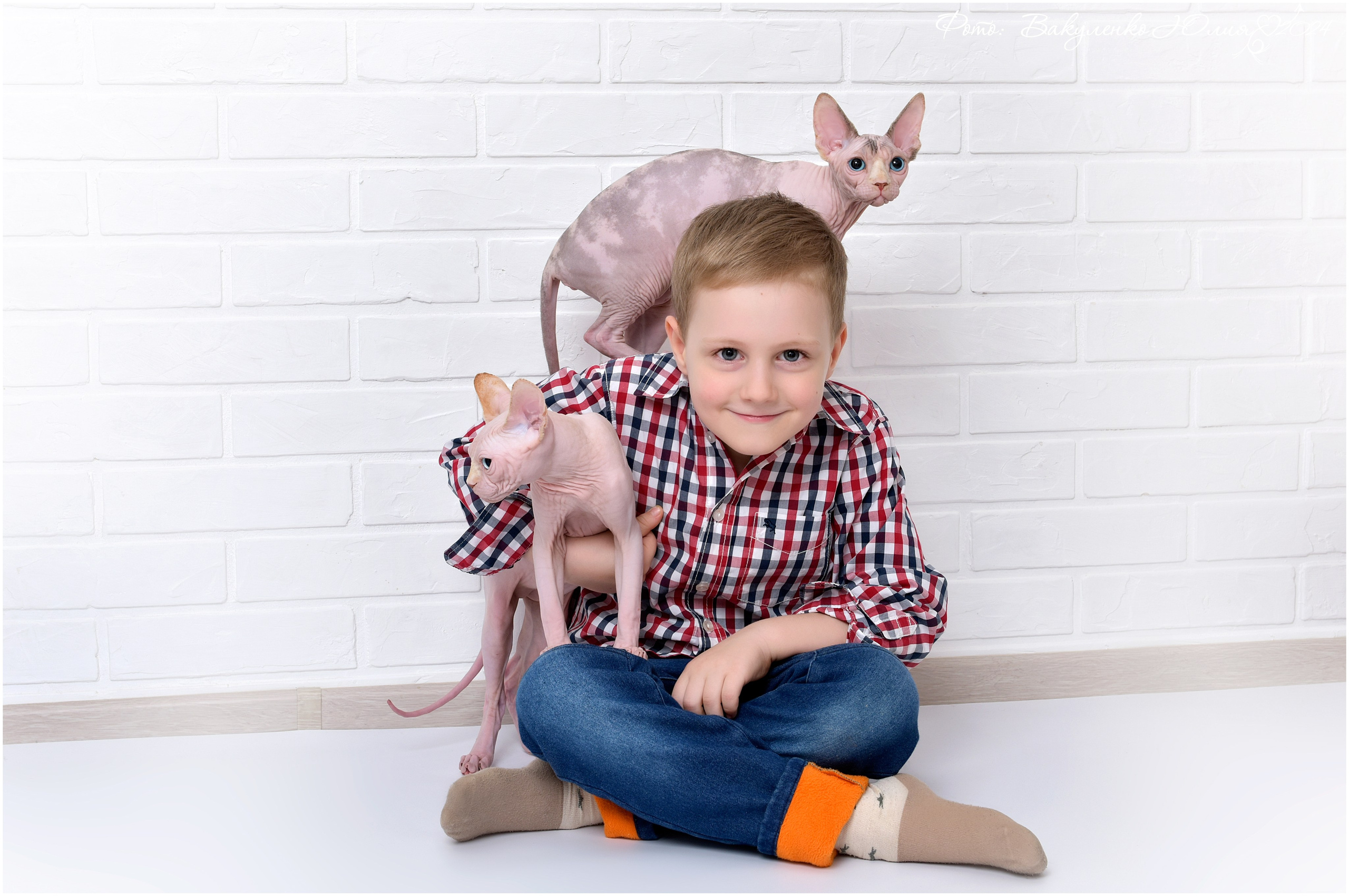 Дети. Фотограф анималист | семейный Юлия Вакуленко, г. Краснодар