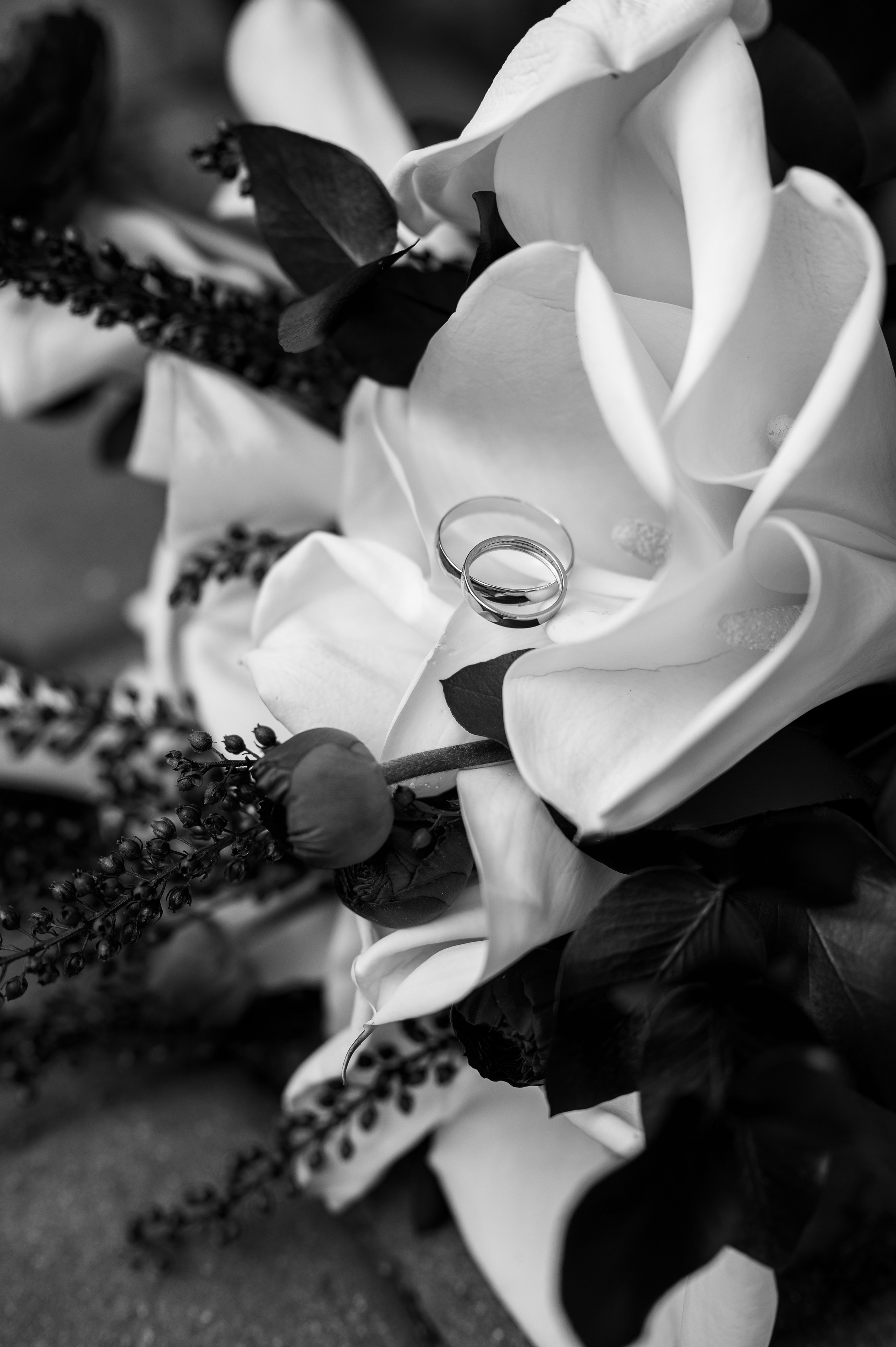 Кирилл и Марина. Свадебный и семейный фотограф в Краснодаре Алина Мельник