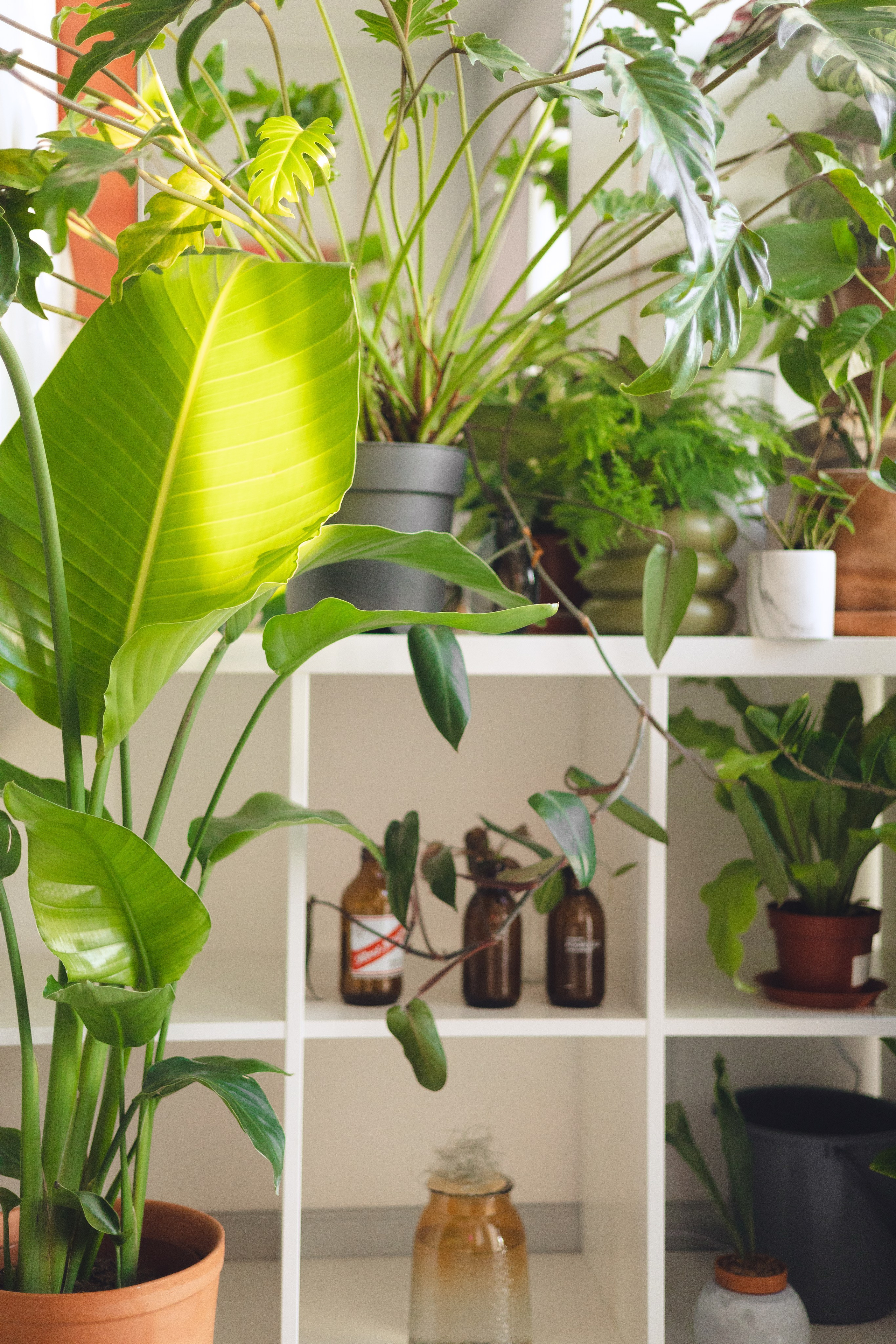 Предметная съемка для бизнеса. Фотограф в Санкт-Петербурге Осокина Елизавета