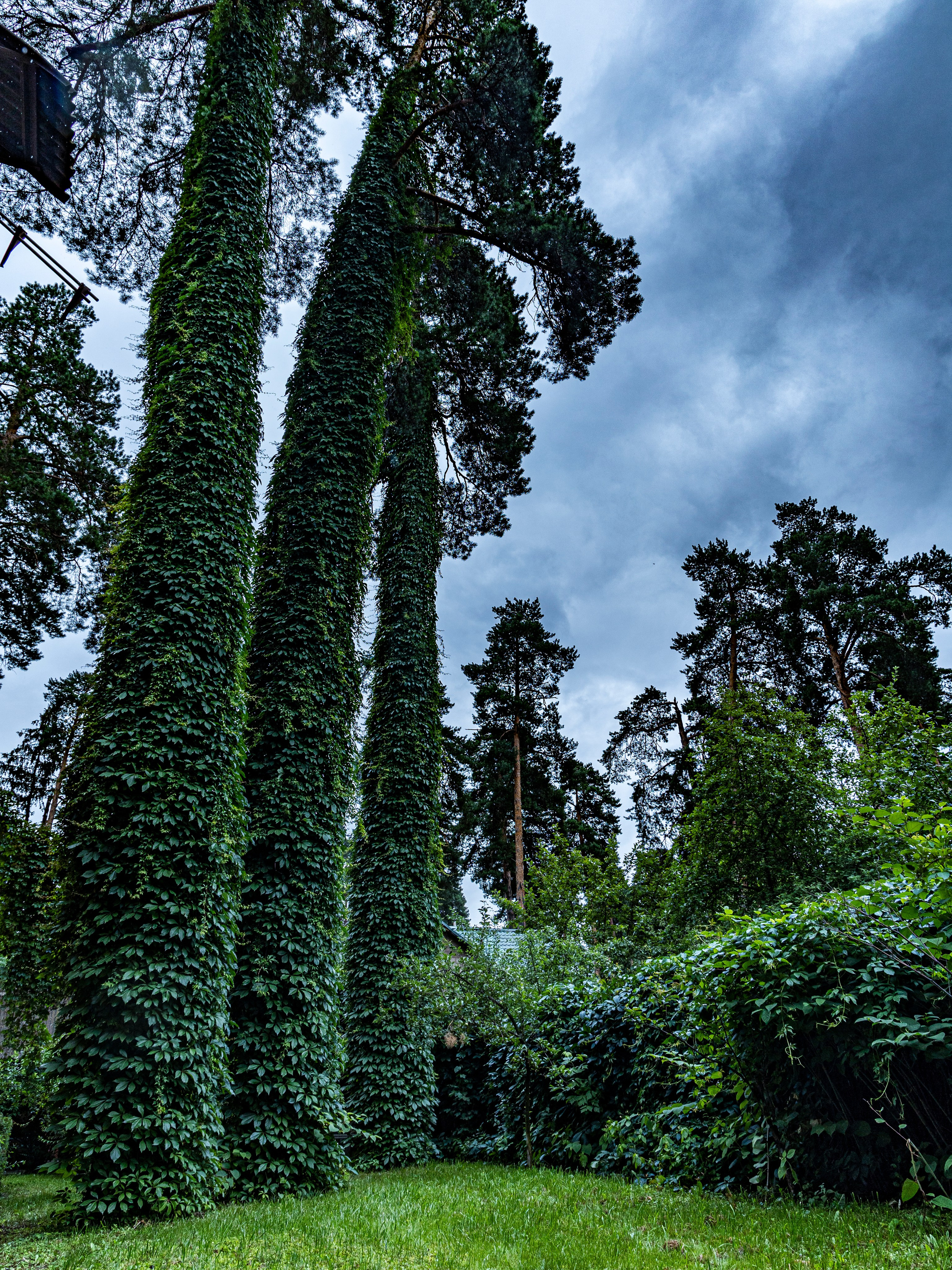Фотограф Татьяна Марсуверских г. Жуковский, Москва и Мо. Репортажные съёмки, фотосессии. Детский, семейный фотограф. Фотограф для маркетплейсов, фотоуслуги в Жуковском Татьяна Марсуверских